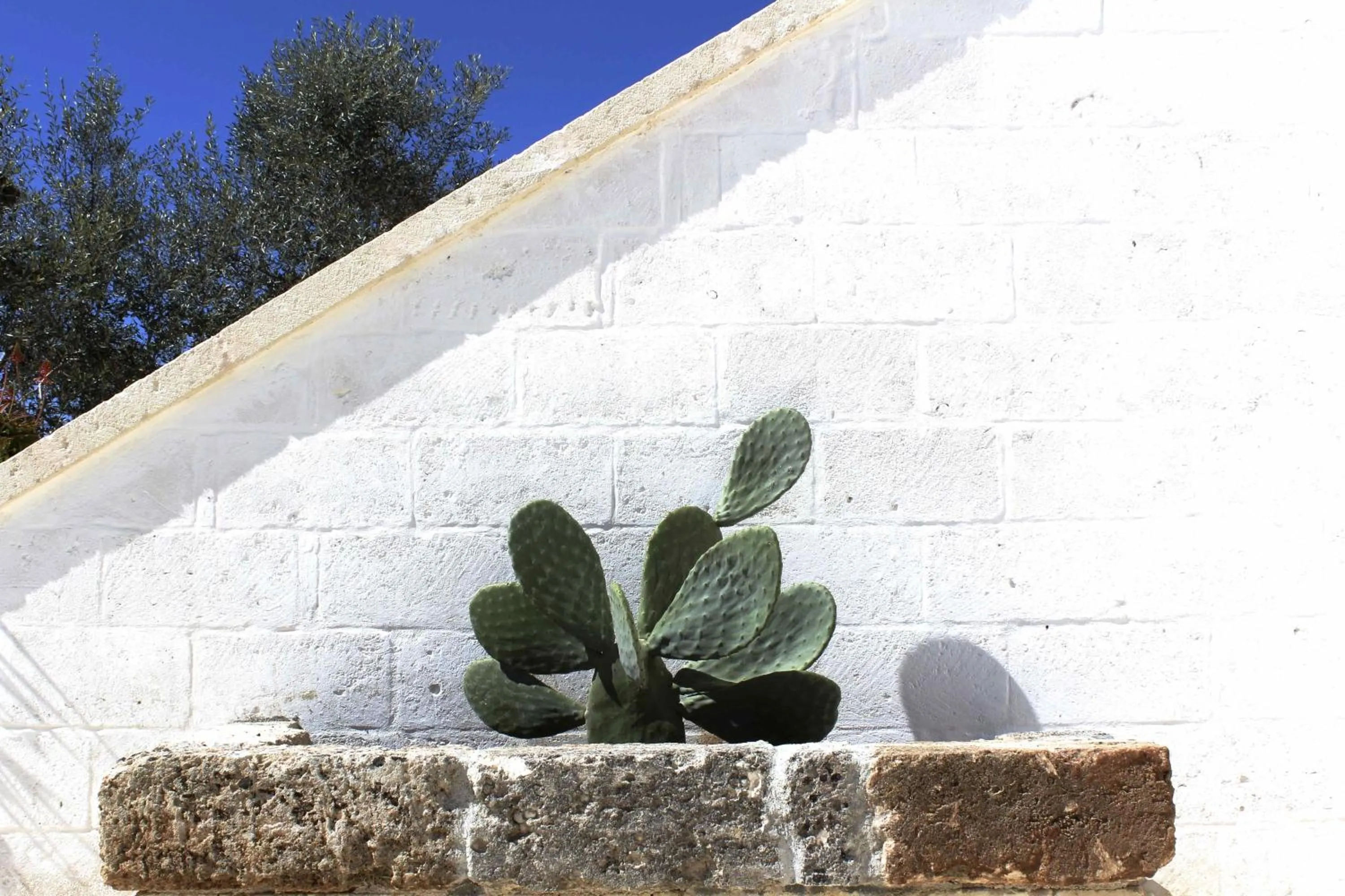 Other in Masseria Fulcignano