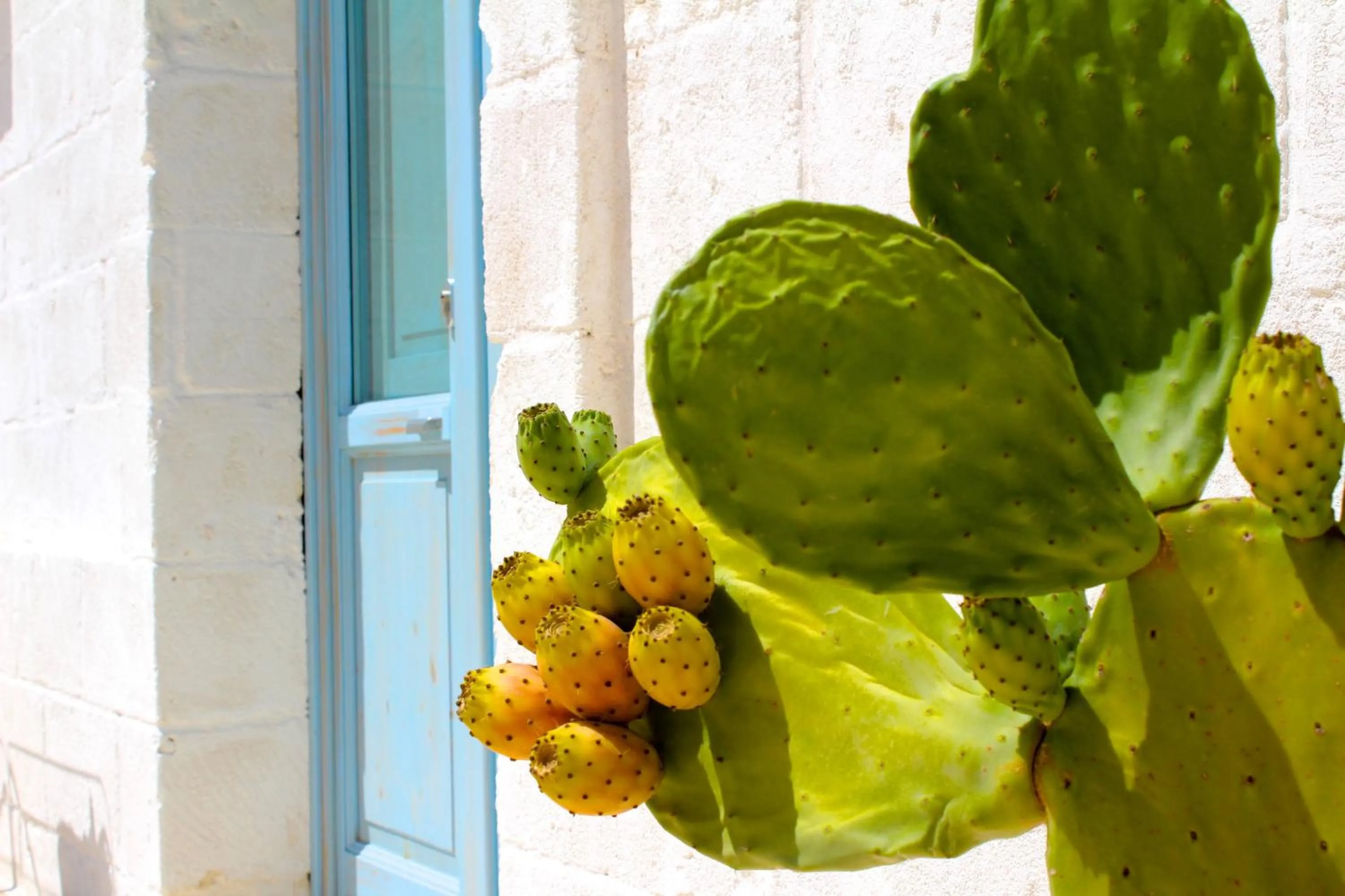 Other in Masseria Fulcignano