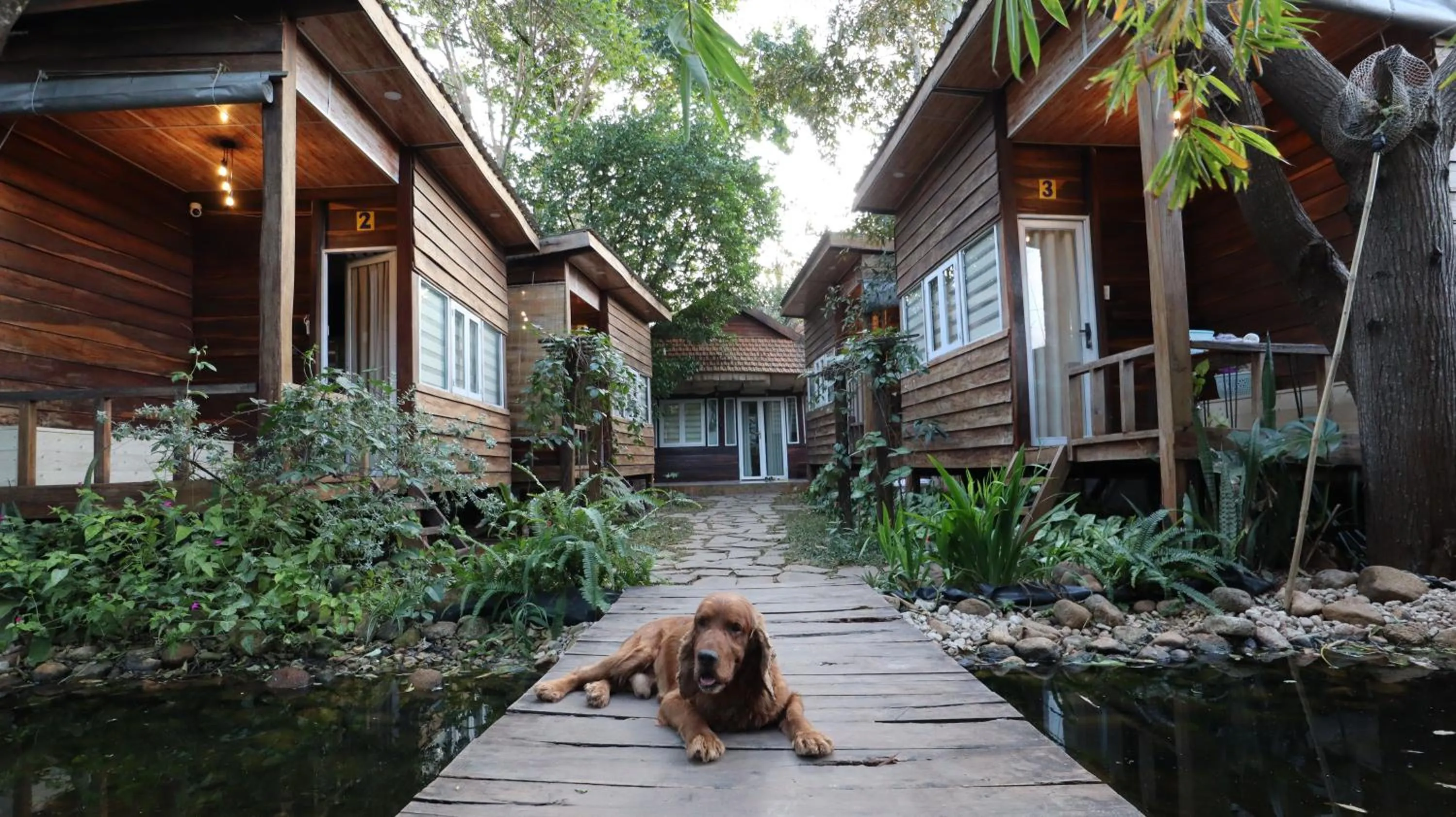 Garden in The 47 House Homestay BMT