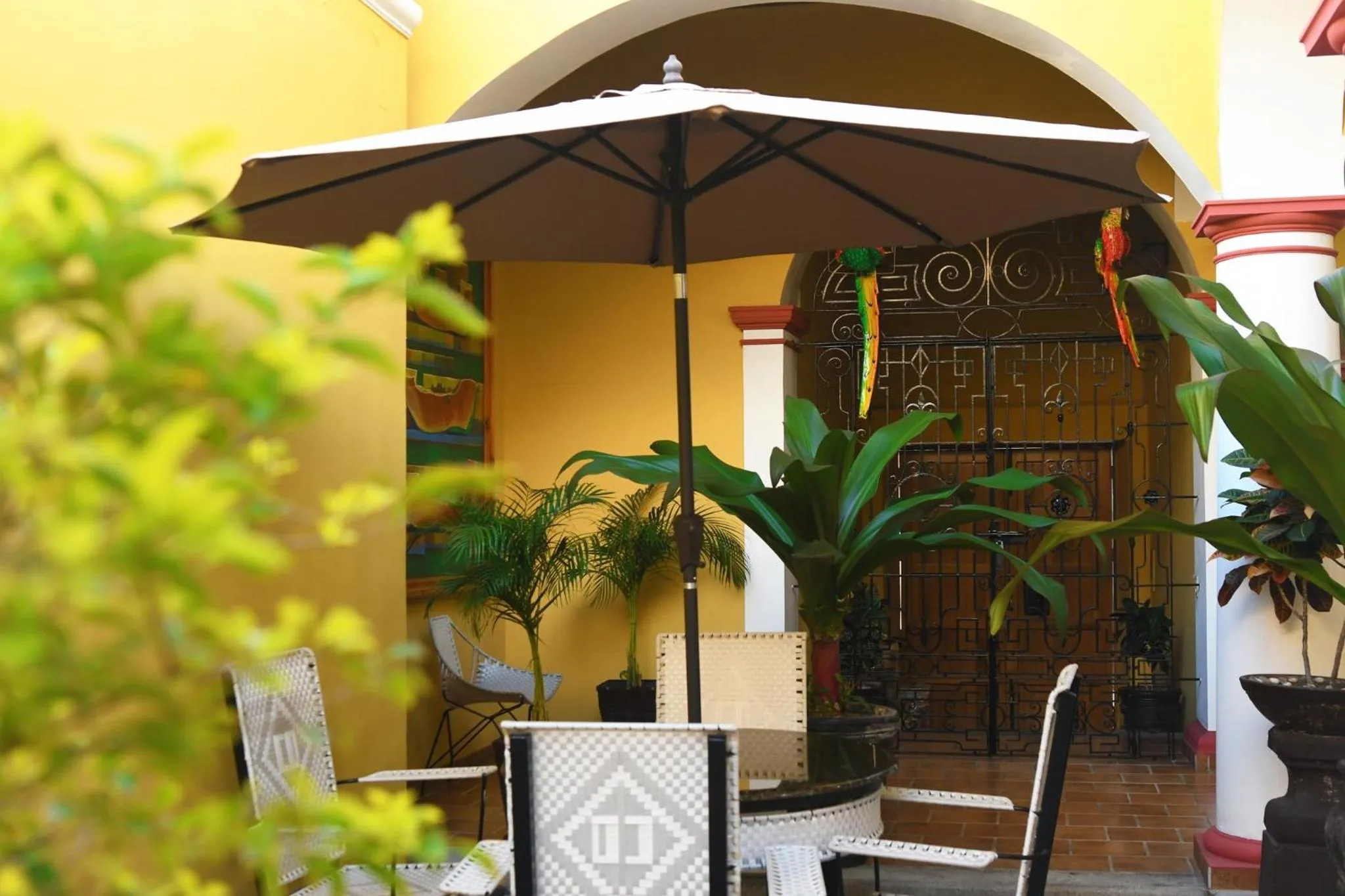 Solarium in Hotel Casa Danna