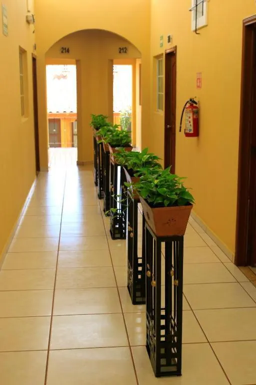 Area and facilities in Hotel Casa Danna