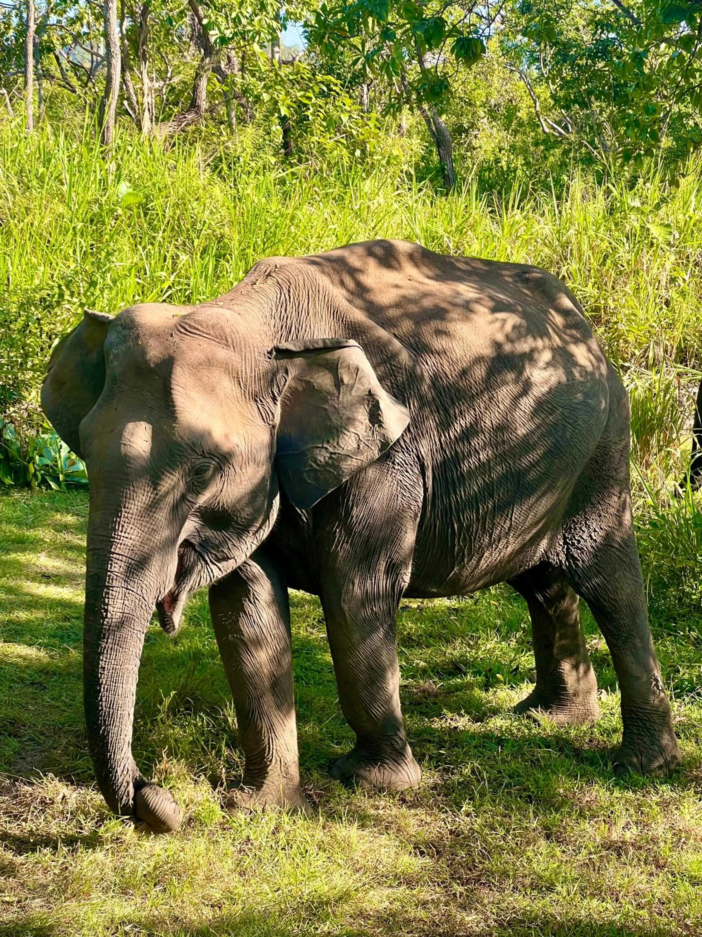 Natural landscape in Sundaras Family Suites