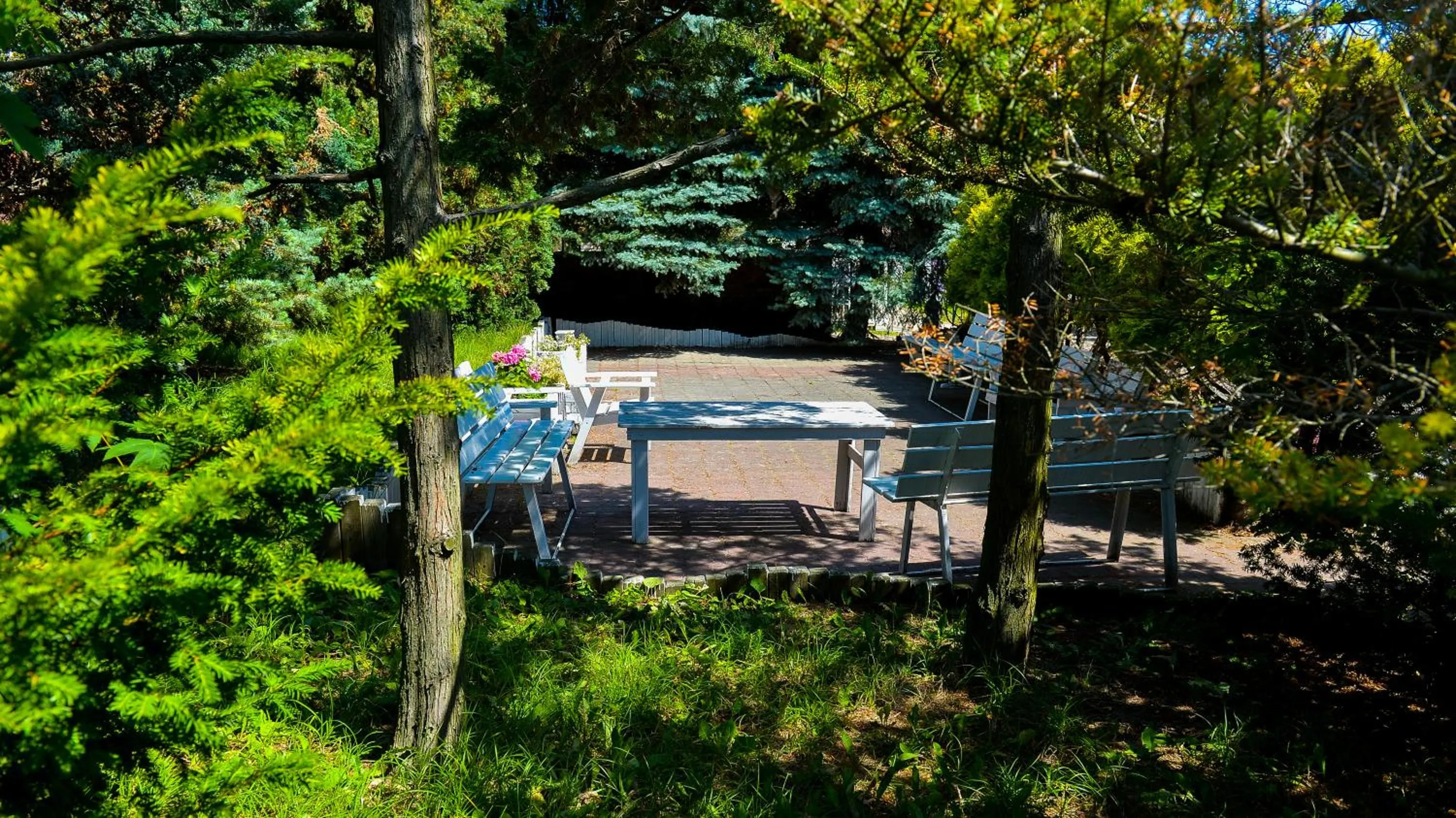 Patio in Dom św. Józefa