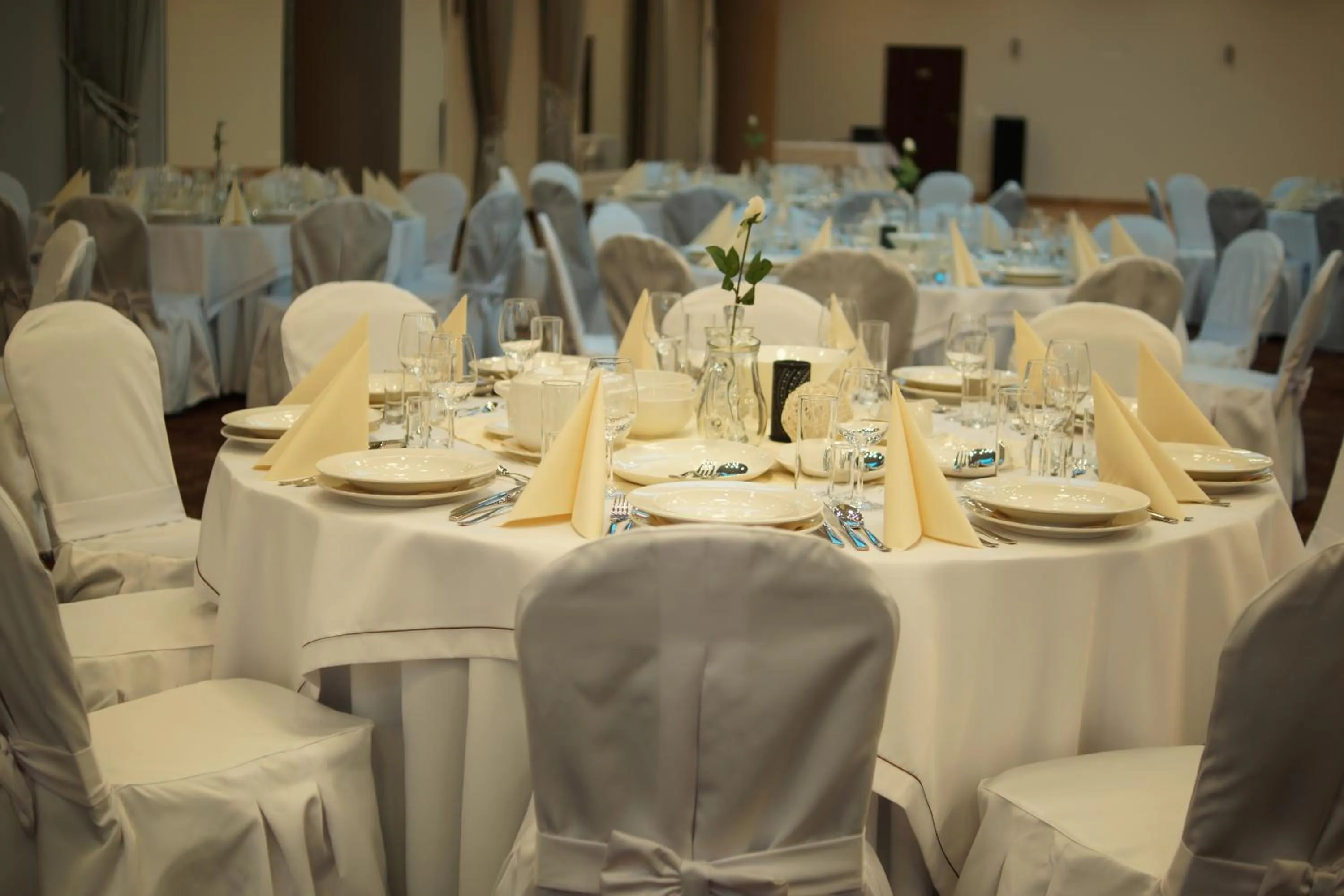 Banquet/Function facilities in Hotel Milenium