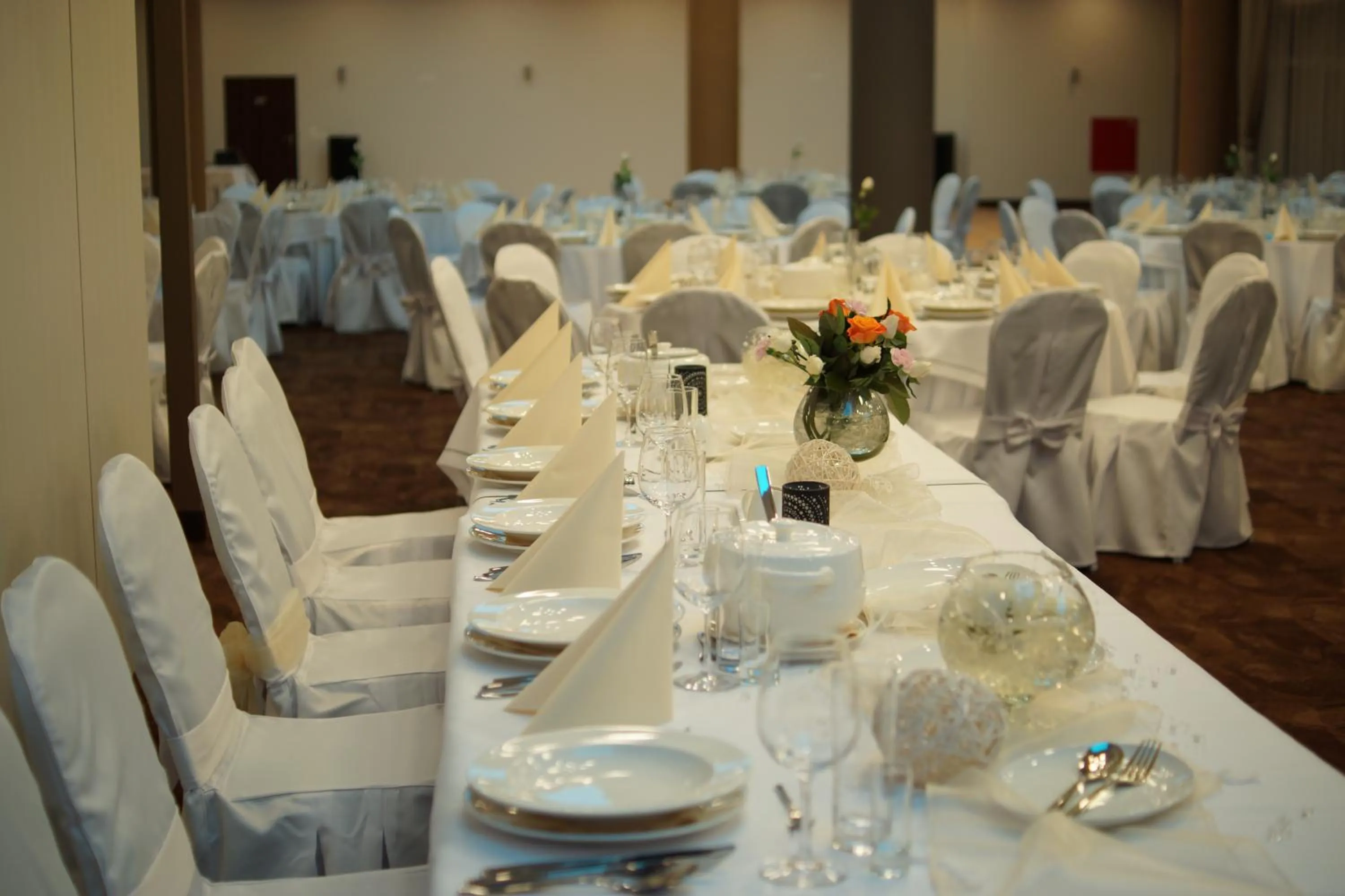 Banquet/Function facilities in Hotel Milenium