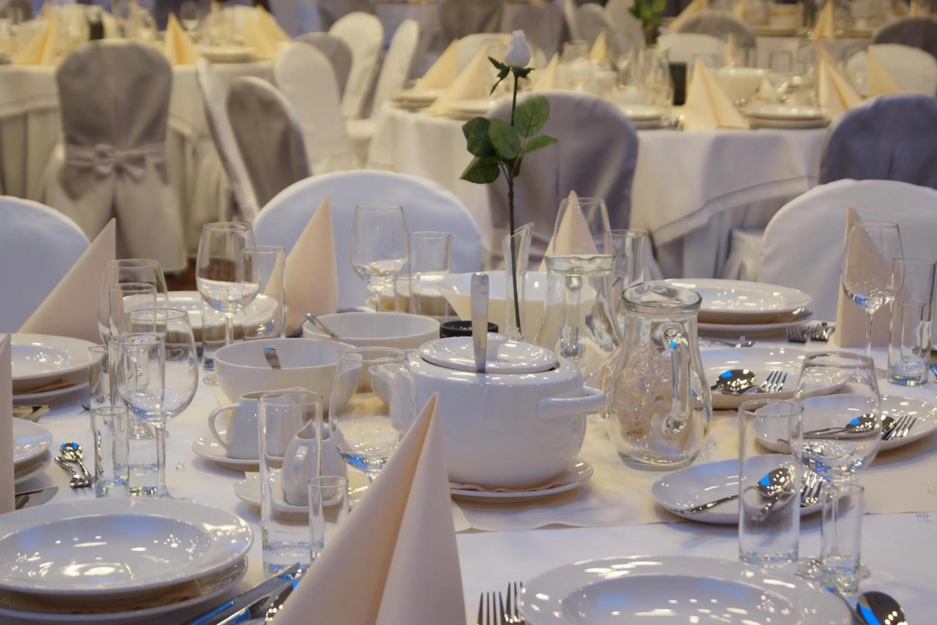 Banquet/Function facilities in Hotel Milenium