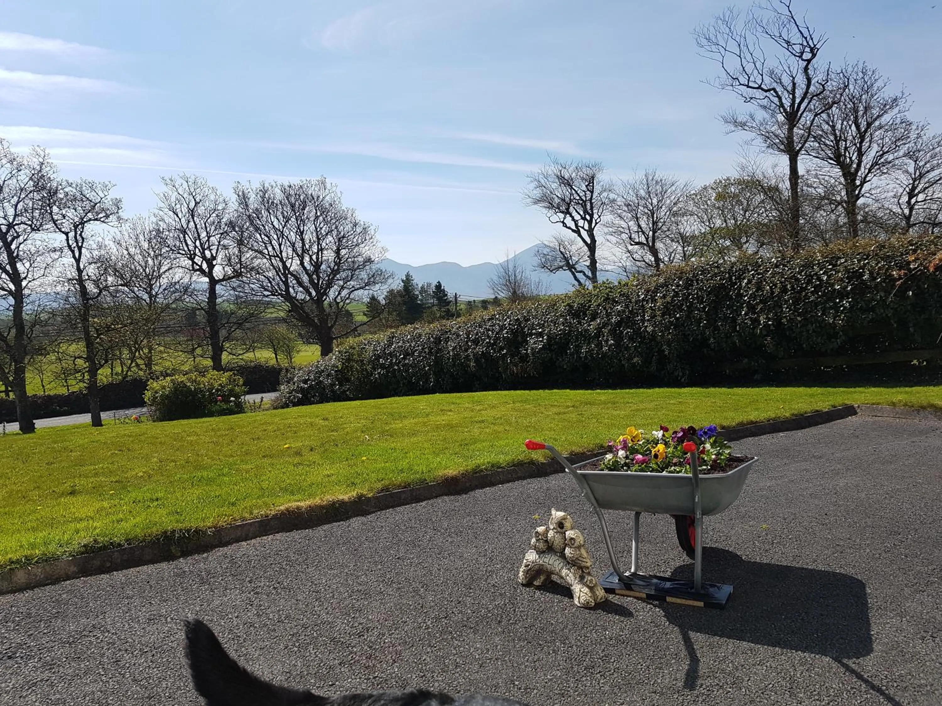 Natural landscape in Greenside B&B