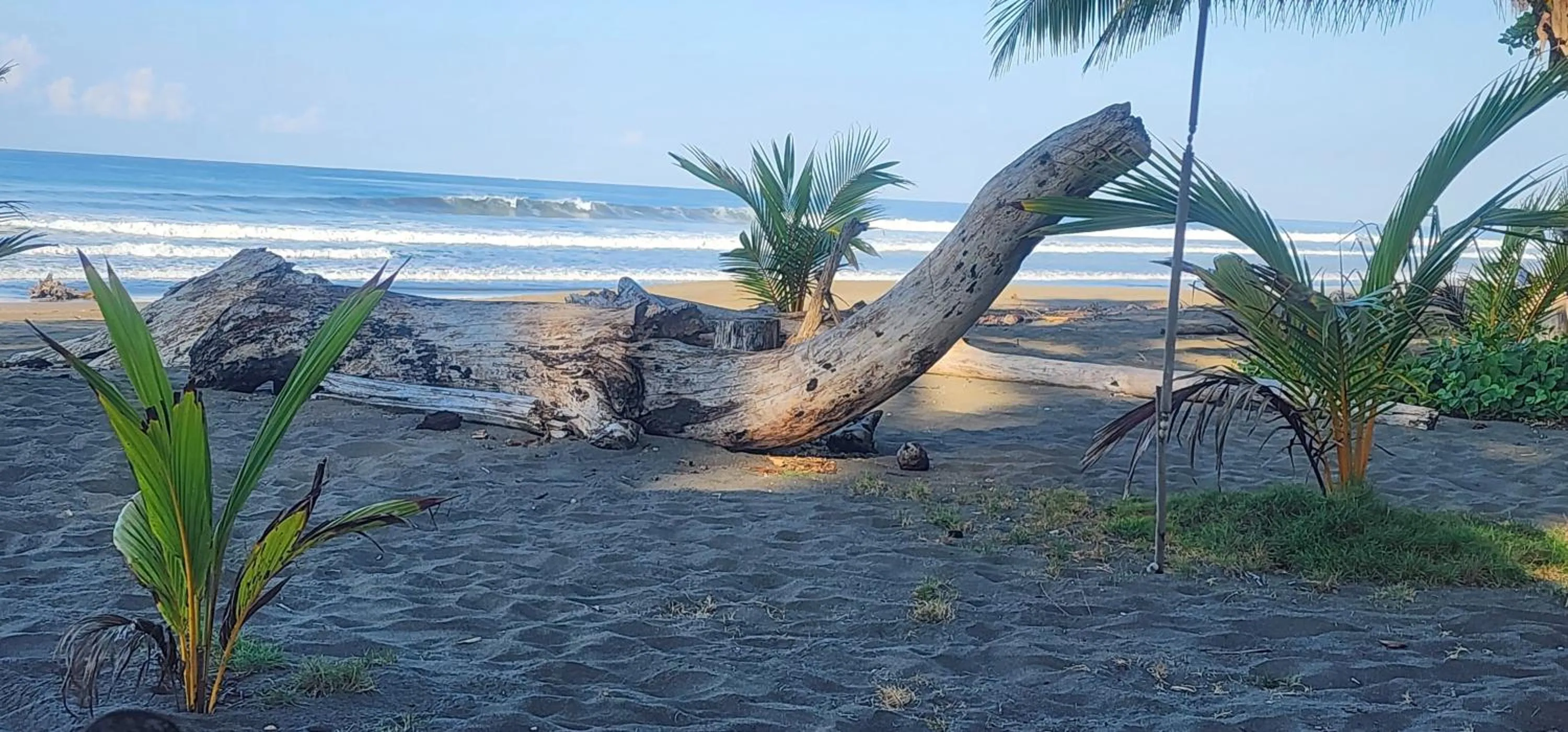 Beach in Hotel Clandestino beach resort