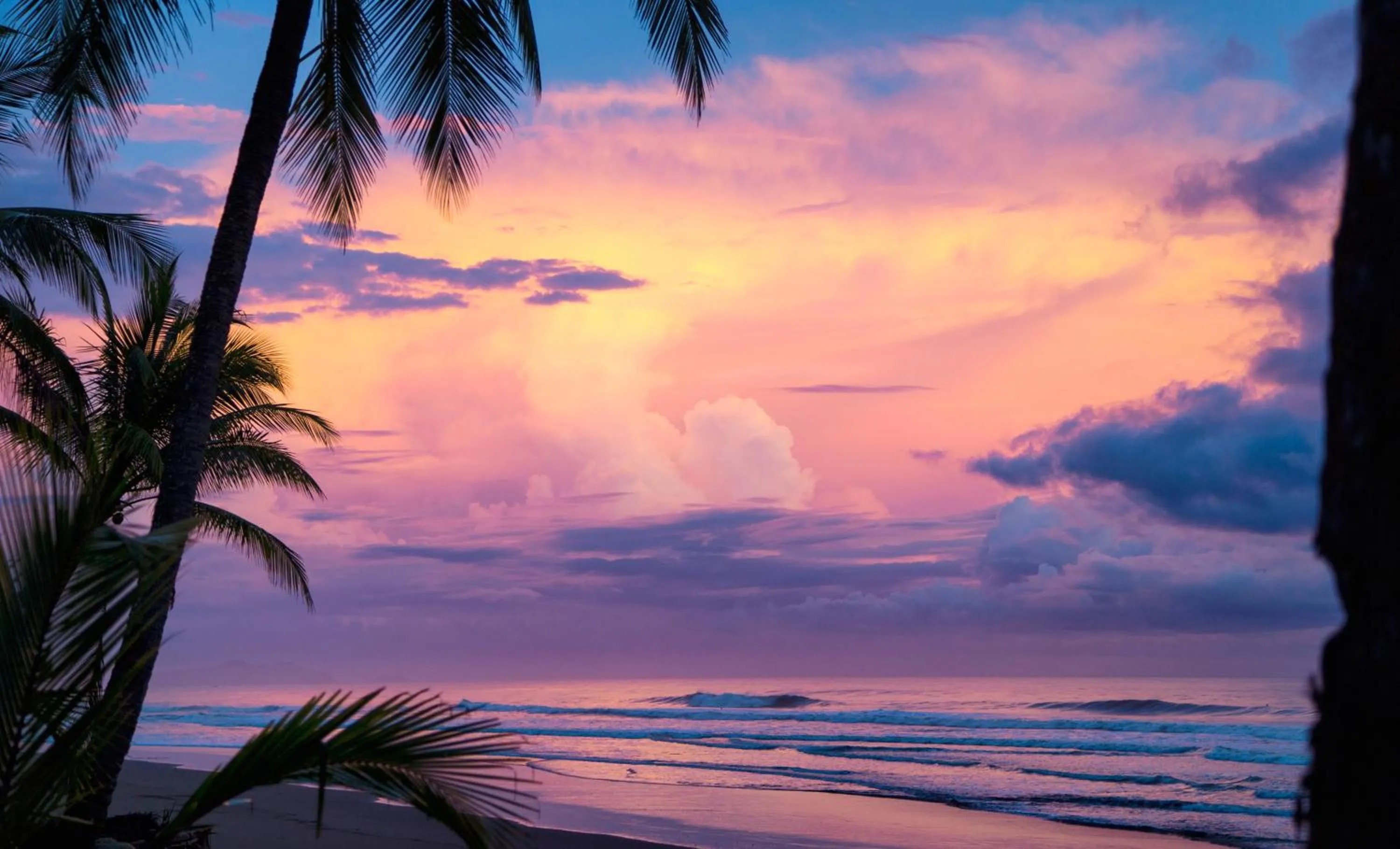 Beach in Hotel Clandestino beach resort