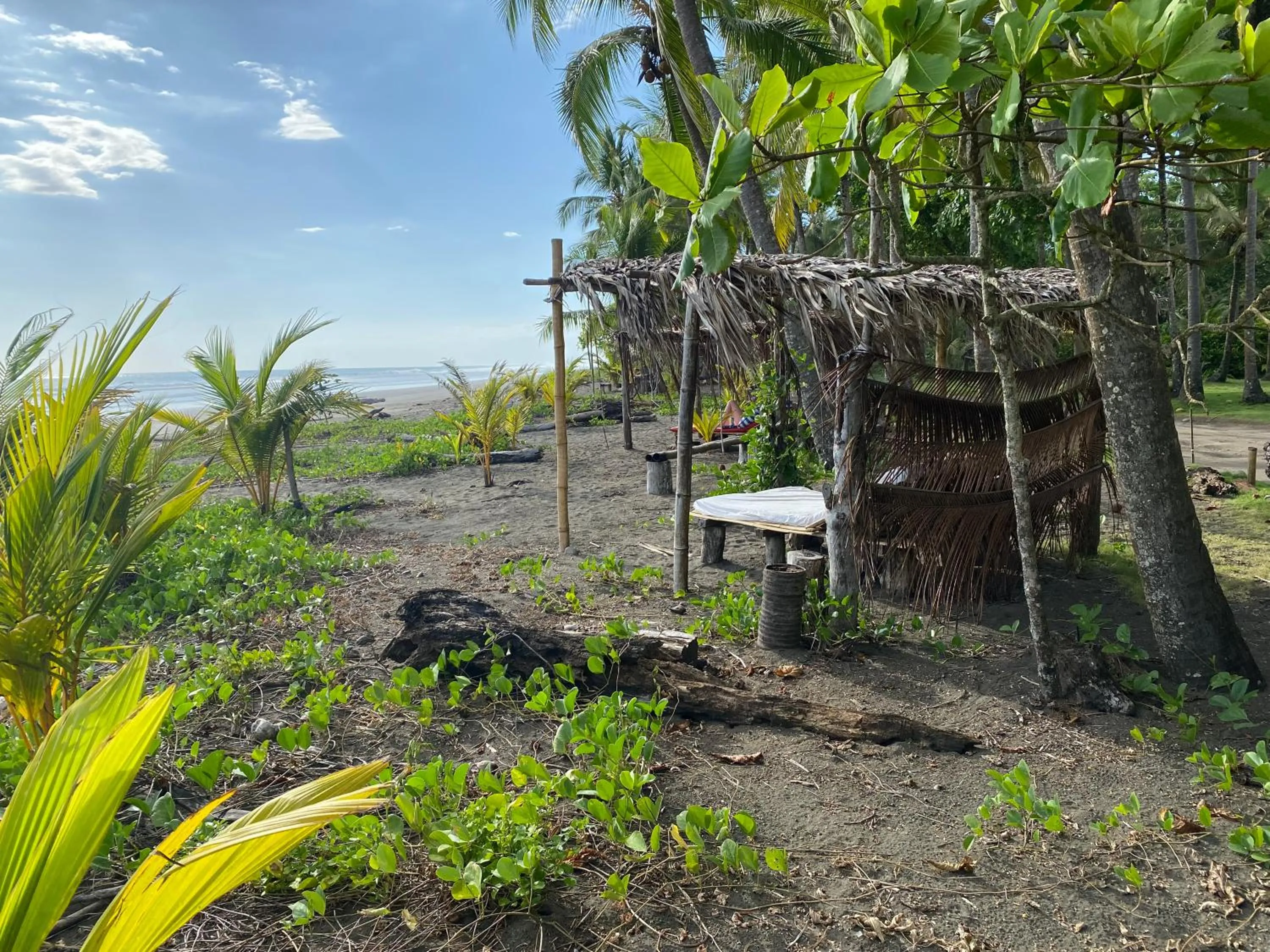 Beach in Hotel Clandestino beach resort