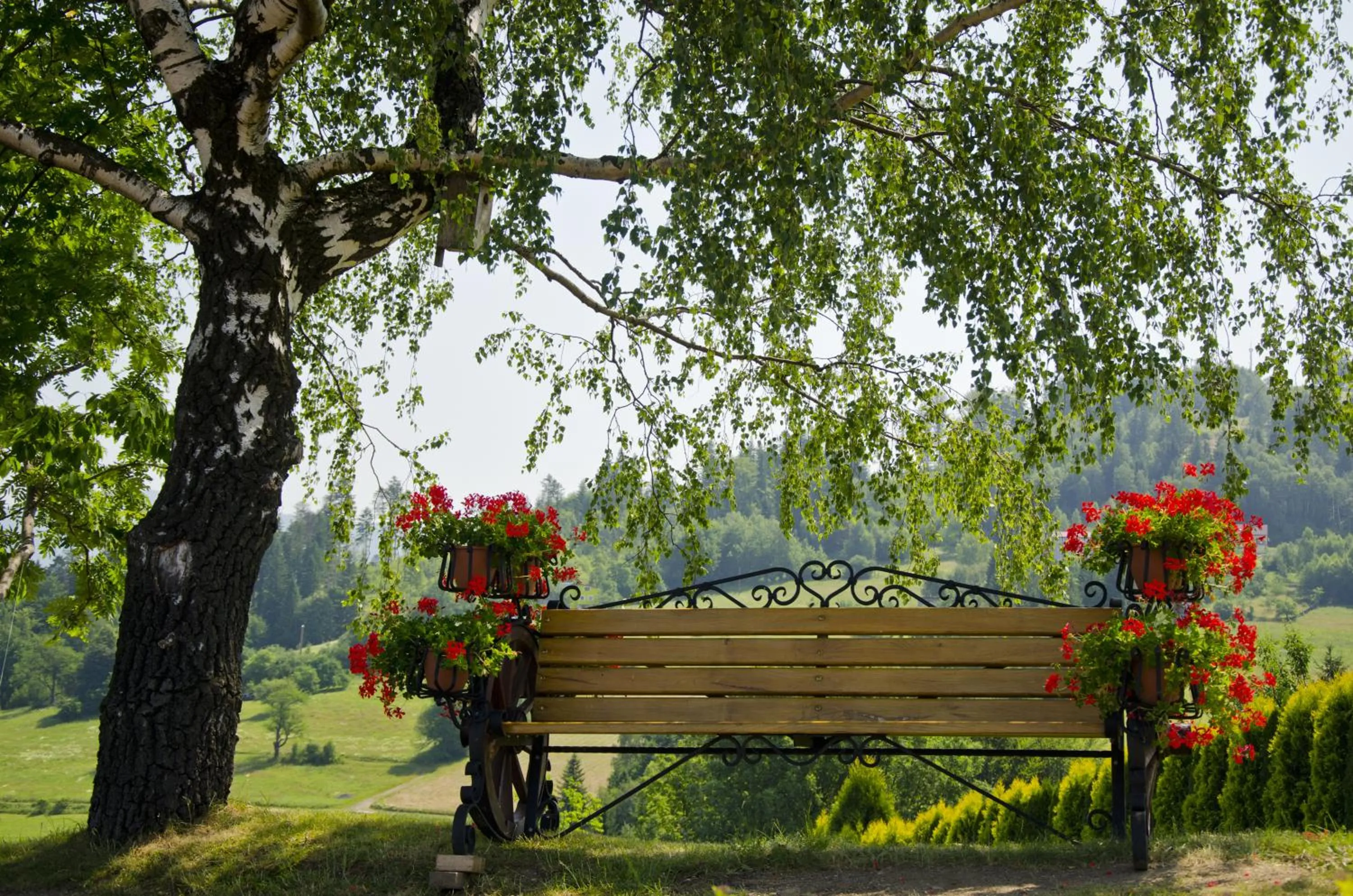 Natural landscape in Karolowy Dwór