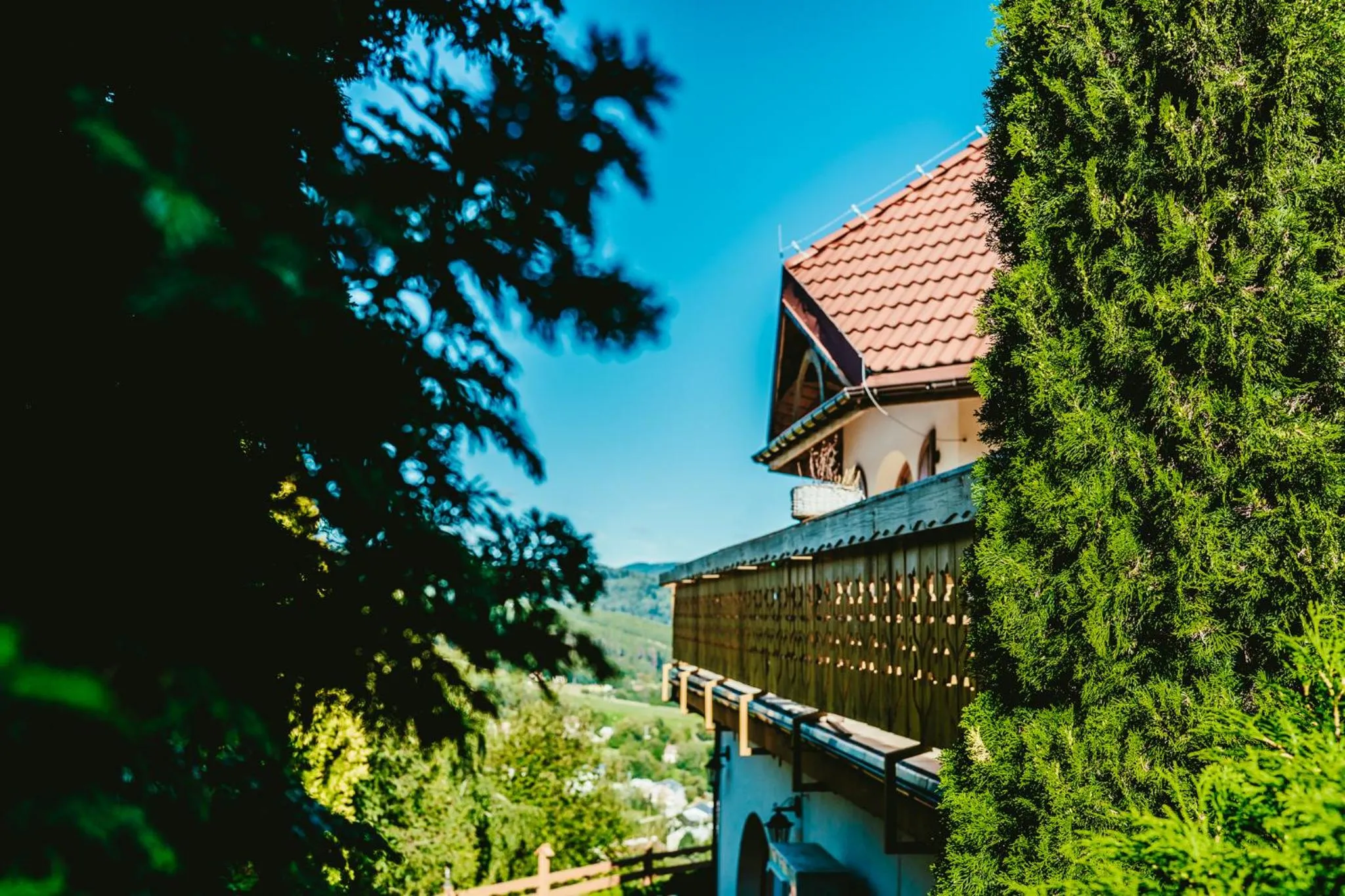 Other in Karolowy Dwór