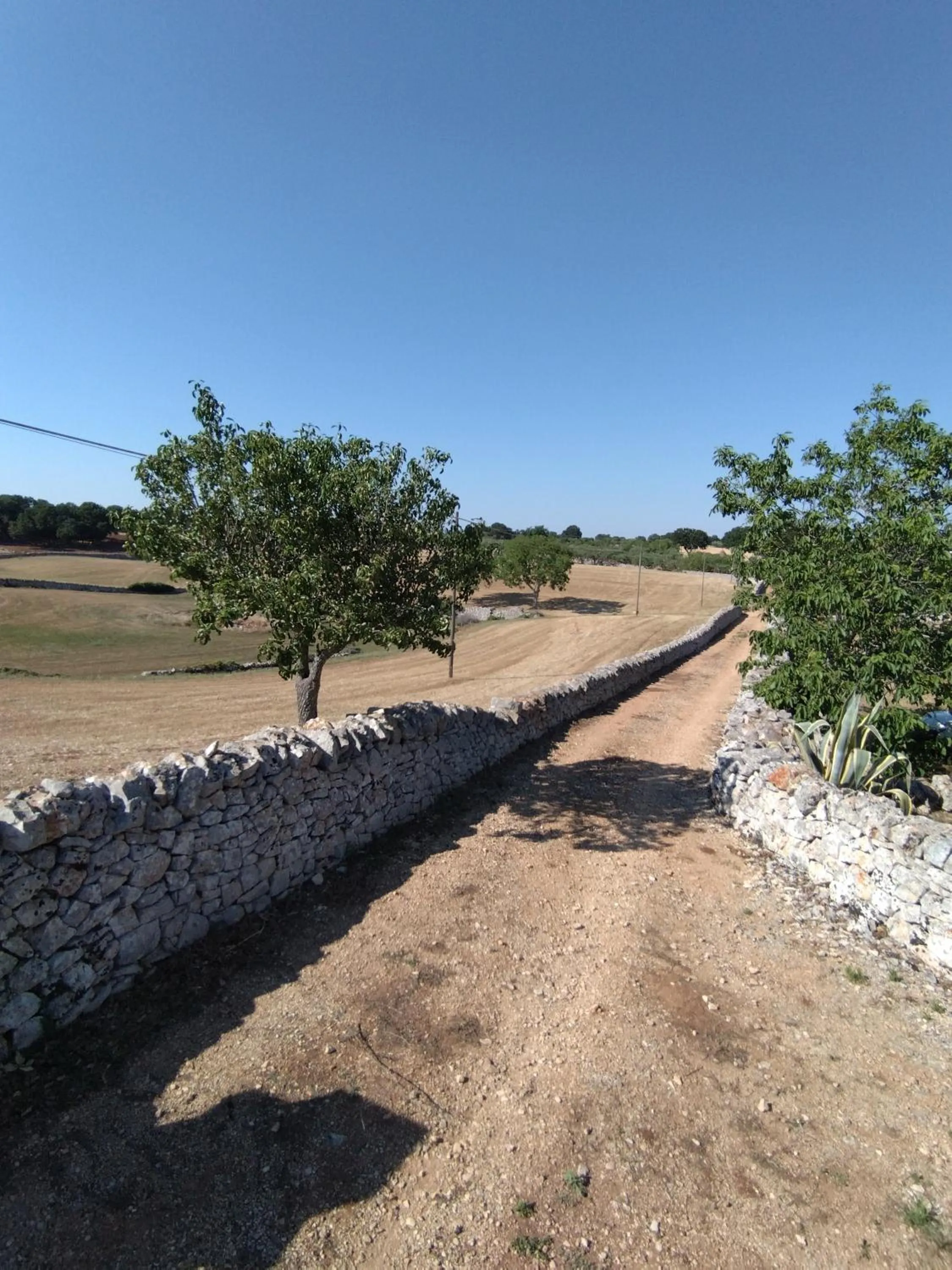 Masseria Catucci Agriturismo