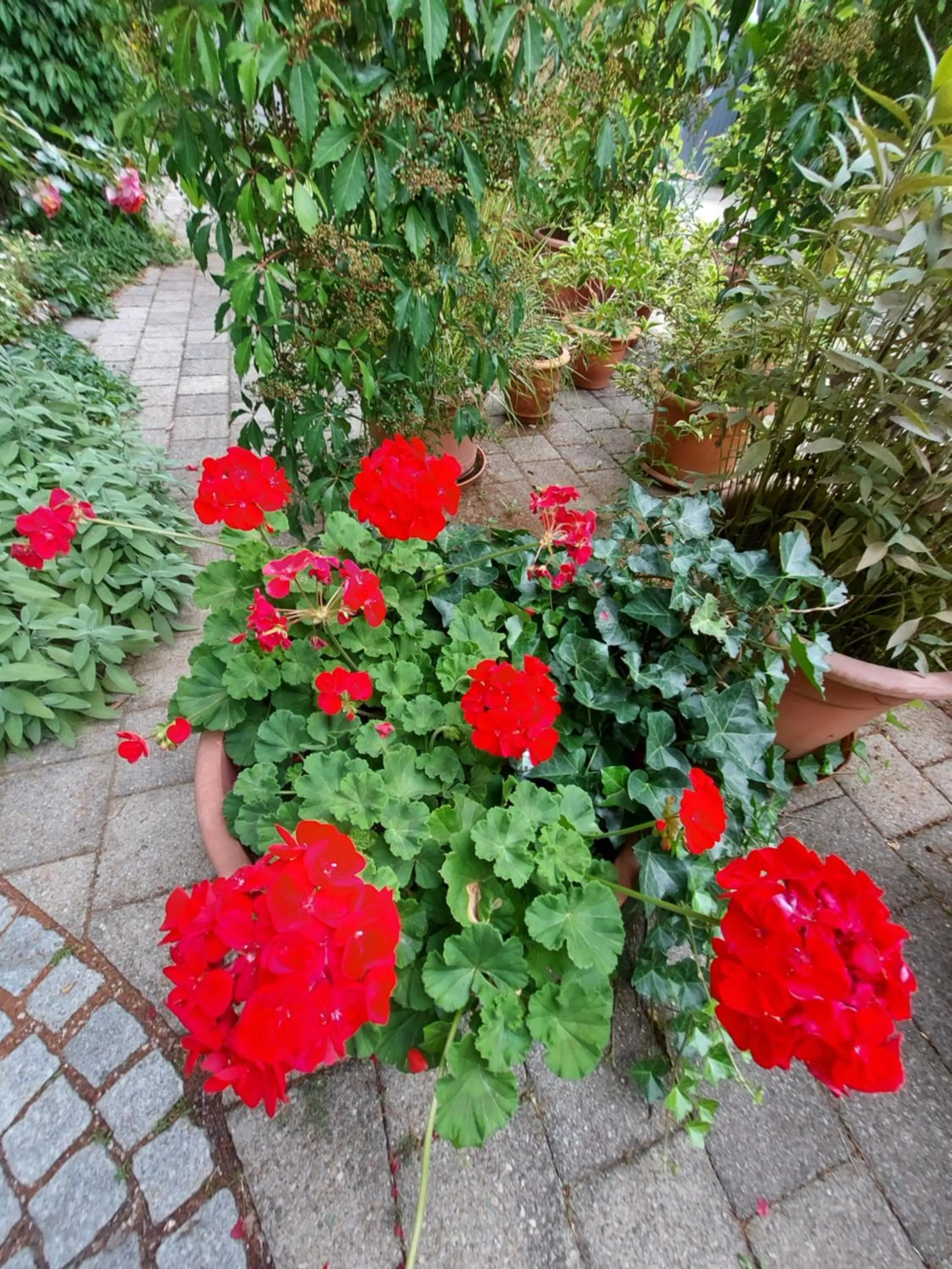 Landhaus Goldenes Kreuz