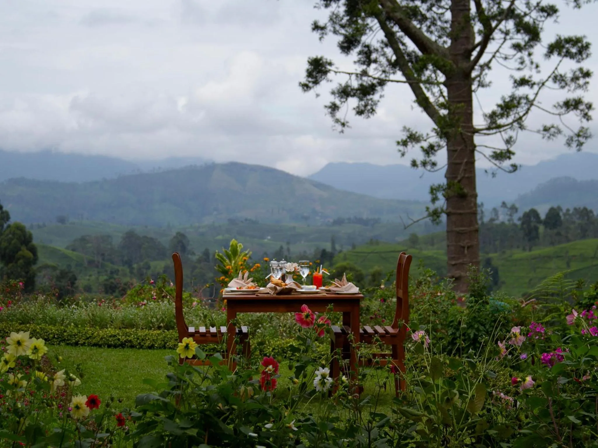 Continental breakfast in Governor's Mansion