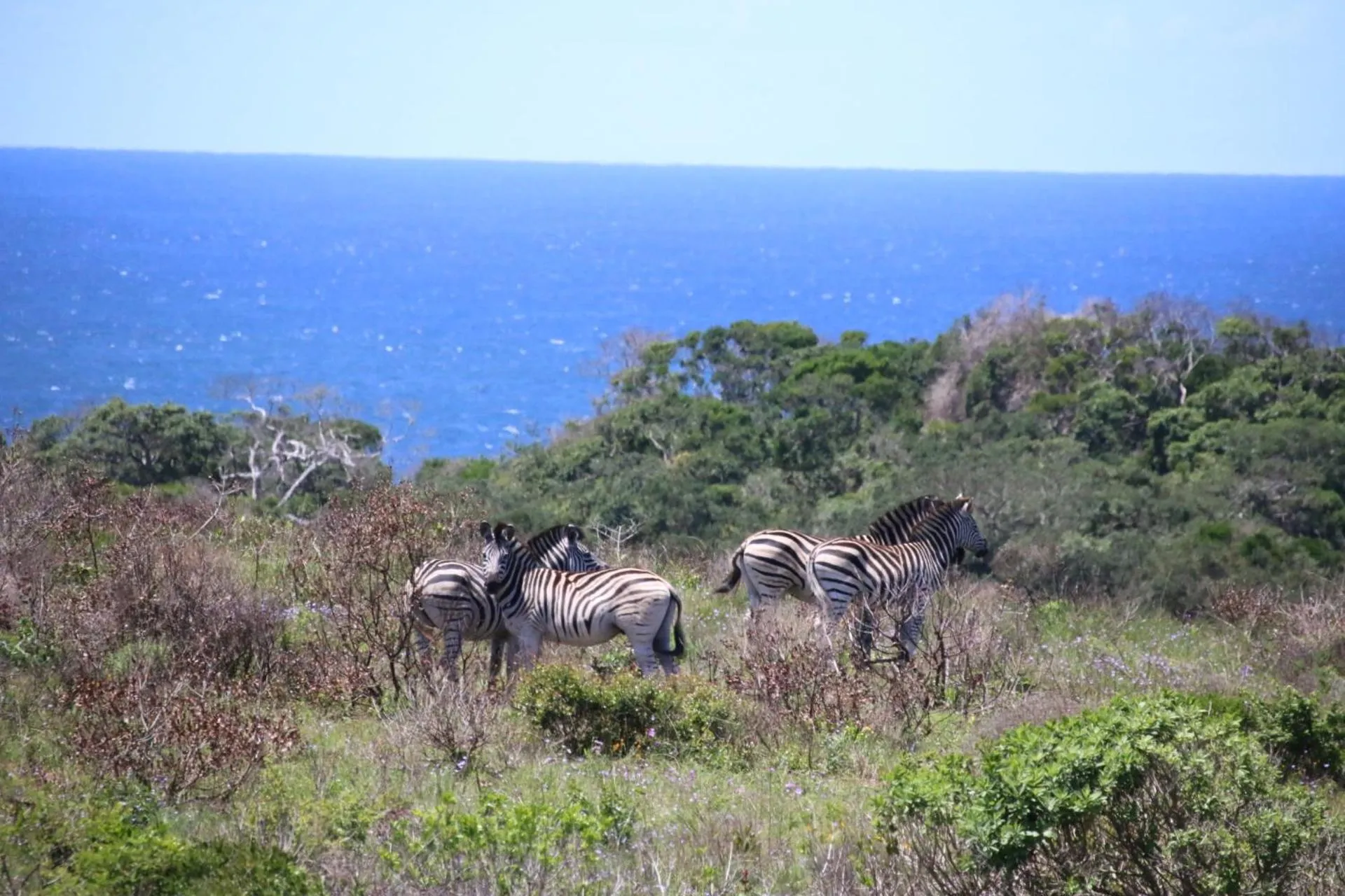 Neighbourhood in St Lucia Kingfisher Lodge