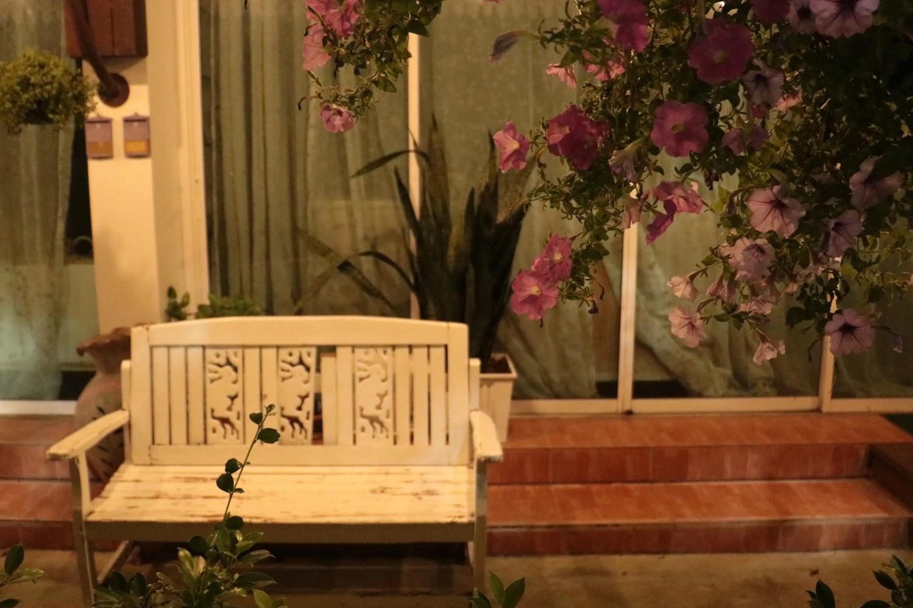 Balcony/Terrace in LM Hostel