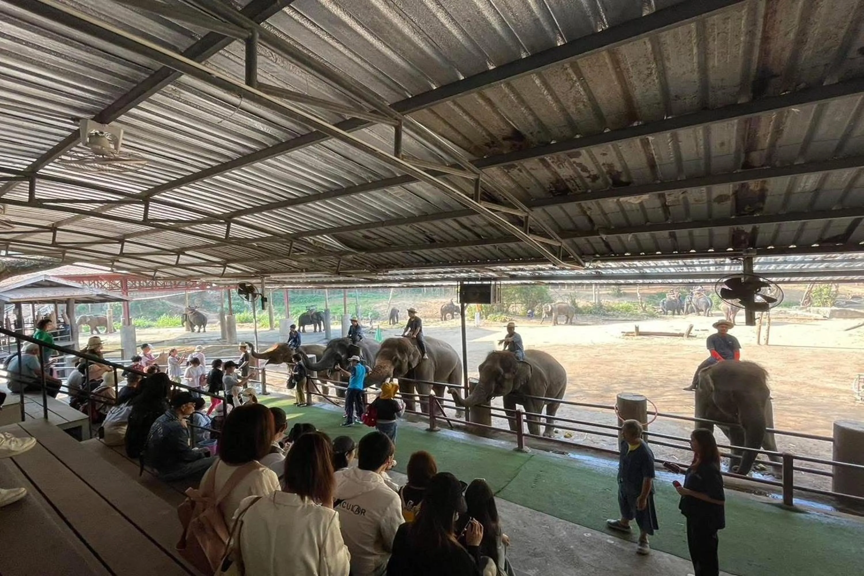group of guests in Tung Lakorn Farm