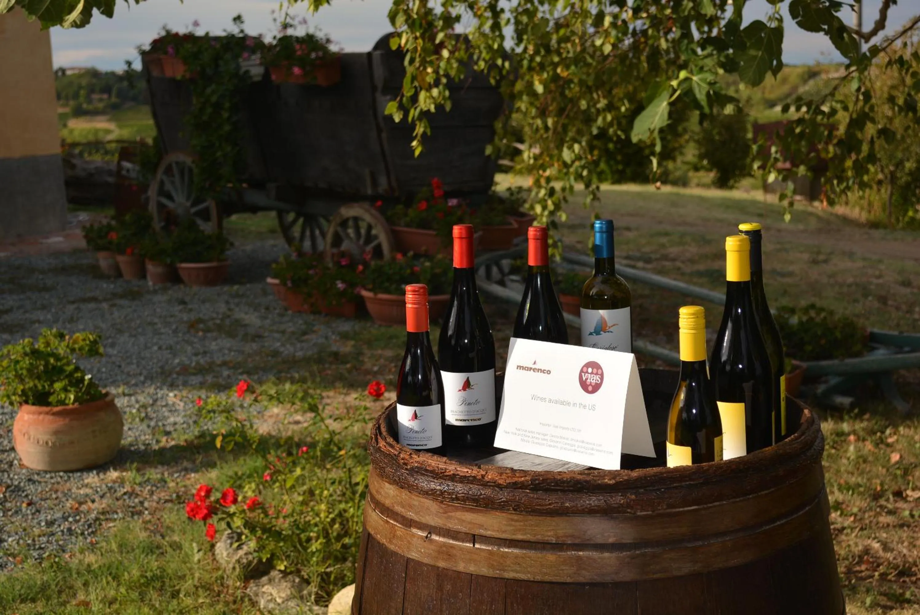 Cascina Valtignosa Camere Con Vigna