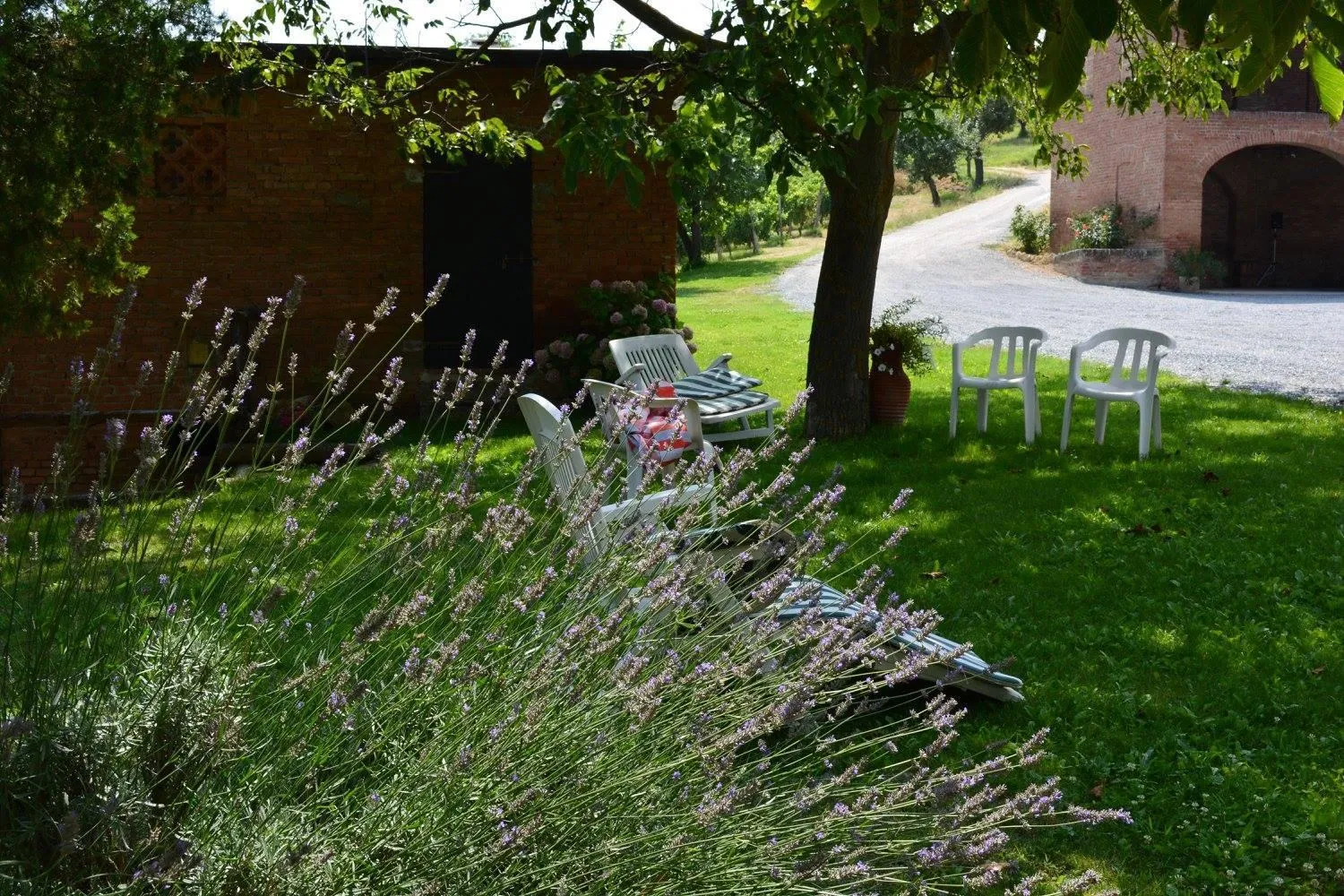 Garden in Cascina Valtignosa Camere Con Vigna