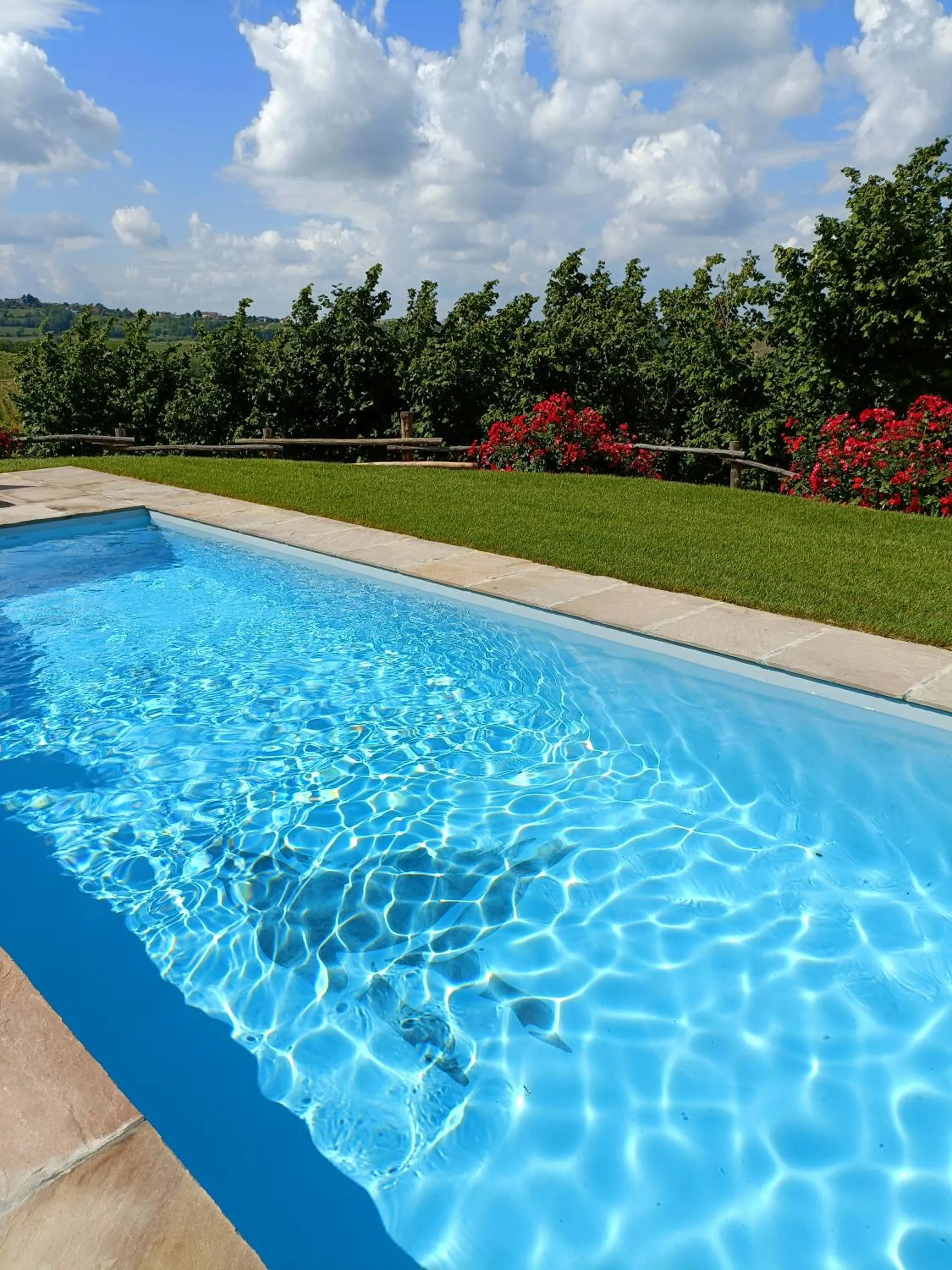 Swimming pool in Cascina Valtignosa Camere Con Vigna