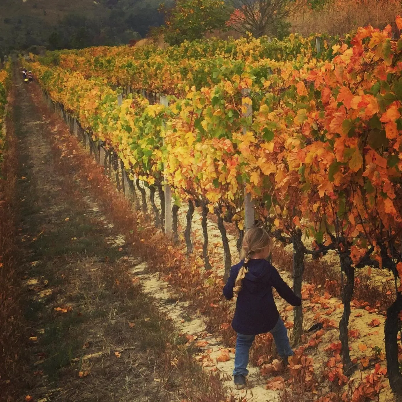 Hiking in Cascina Valtignosa Camere Con Vigna