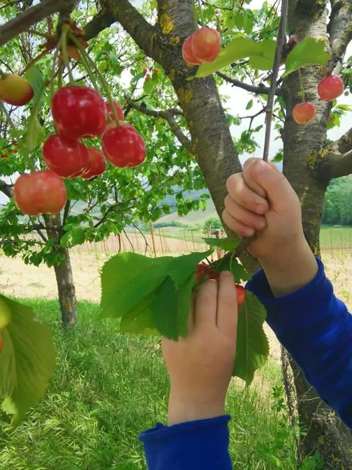 Cascina Valtignosa Camere Con Vigna