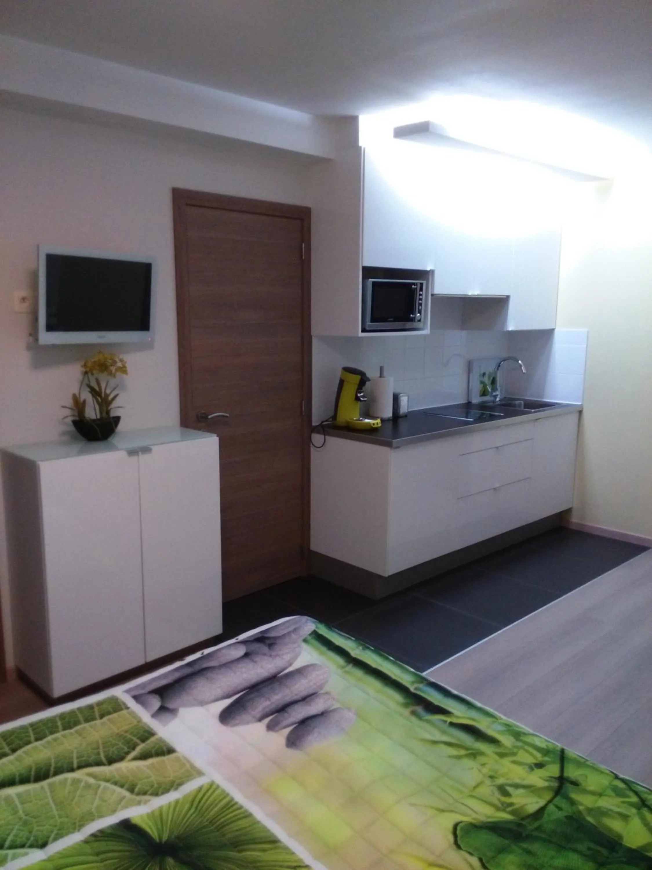 Kitchen or kitchenette in Apartment Villa Ksenija