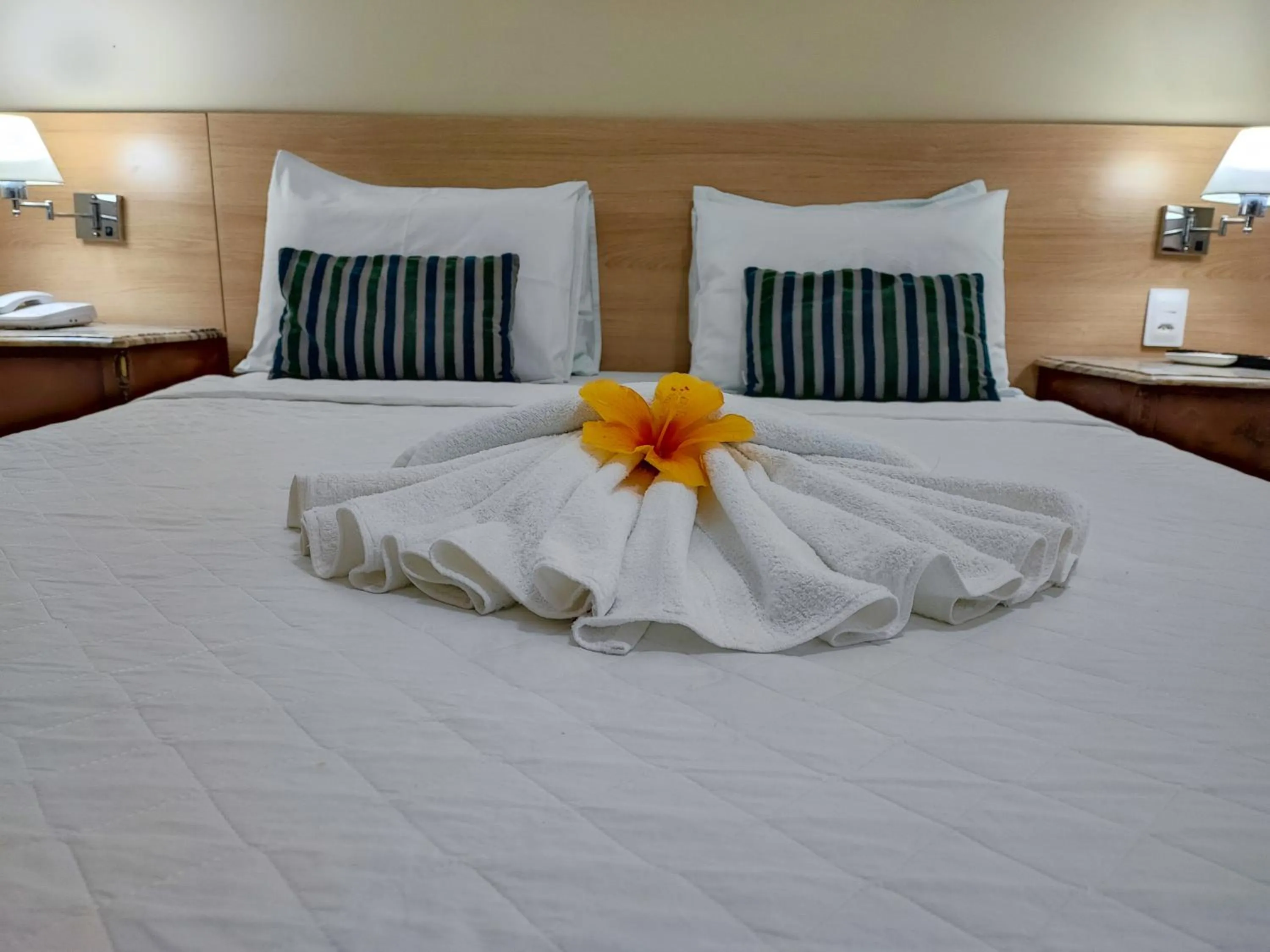 Photo of the whole room, Bed in Hotel Coral Beach