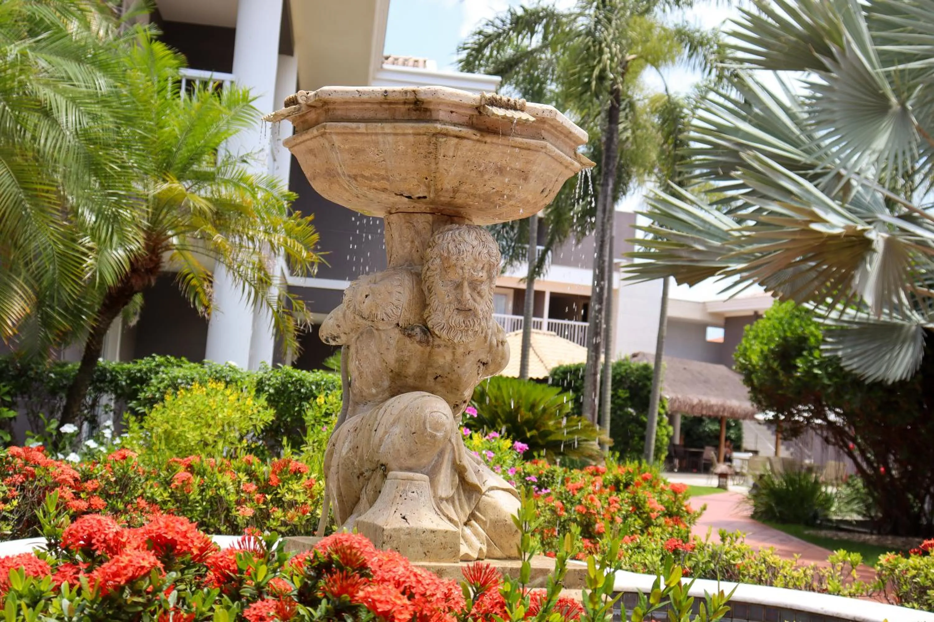 Garden view in Hotel Coral Beach