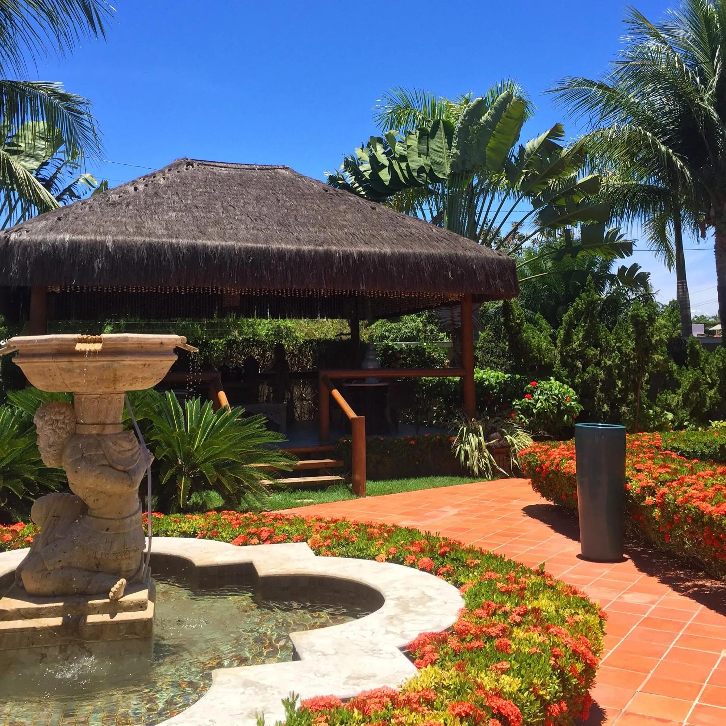 Garden in Hotel Coral Beach