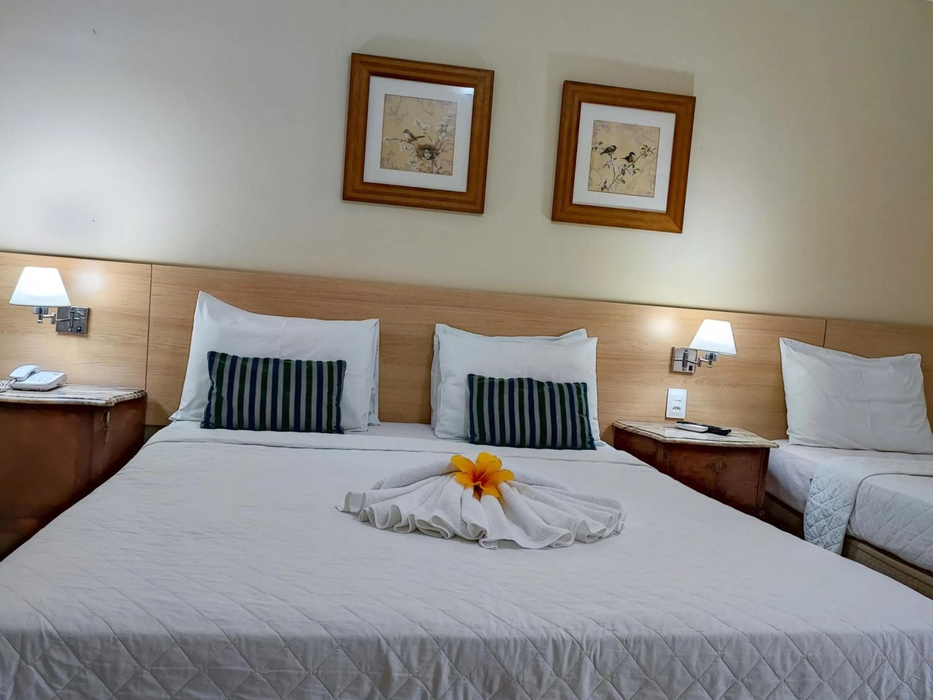 Photo of the whole room, Bed in Hotel Coral Beach