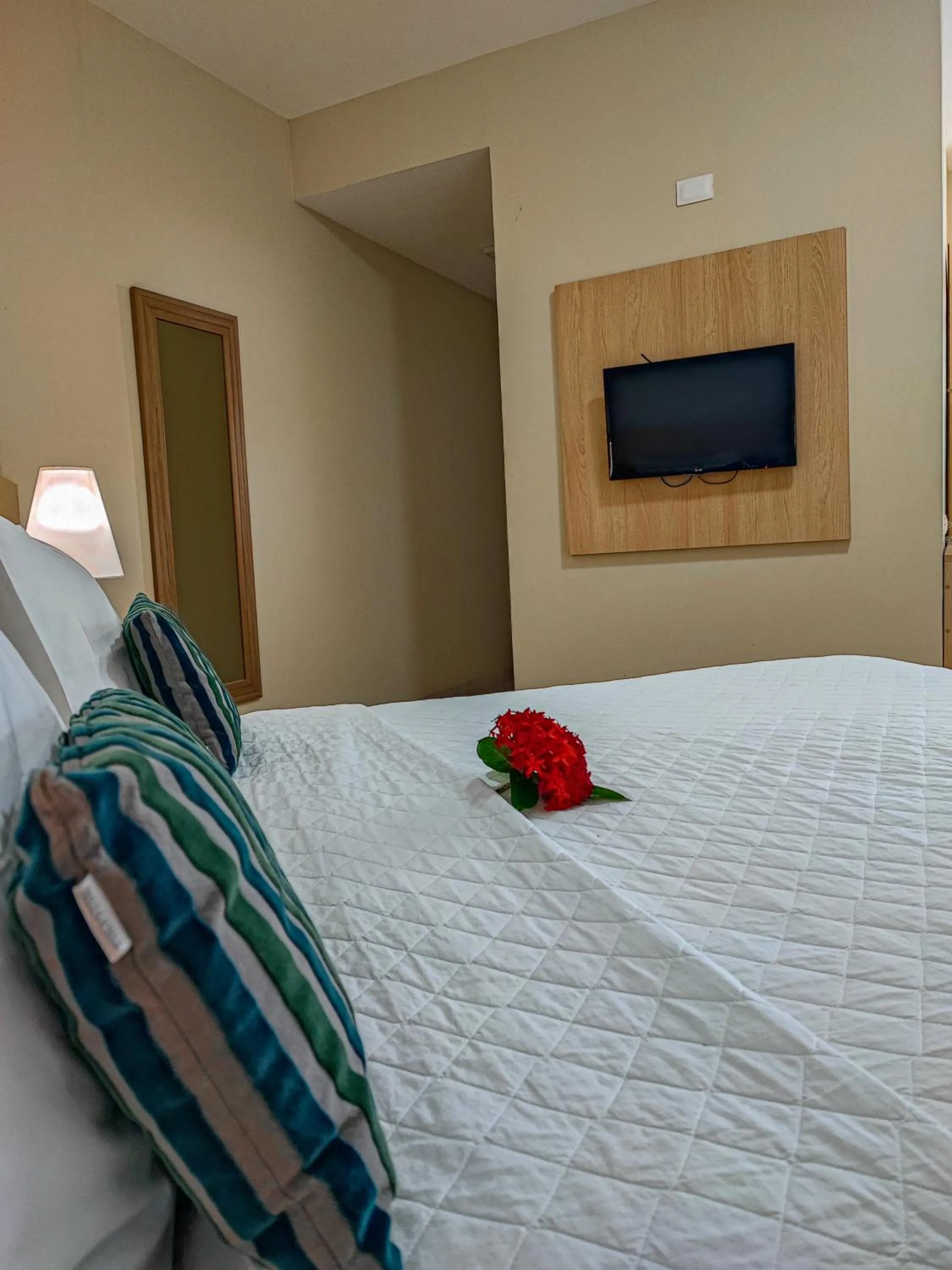 Photo of the whole room, Bed in Hotel Coral Beach