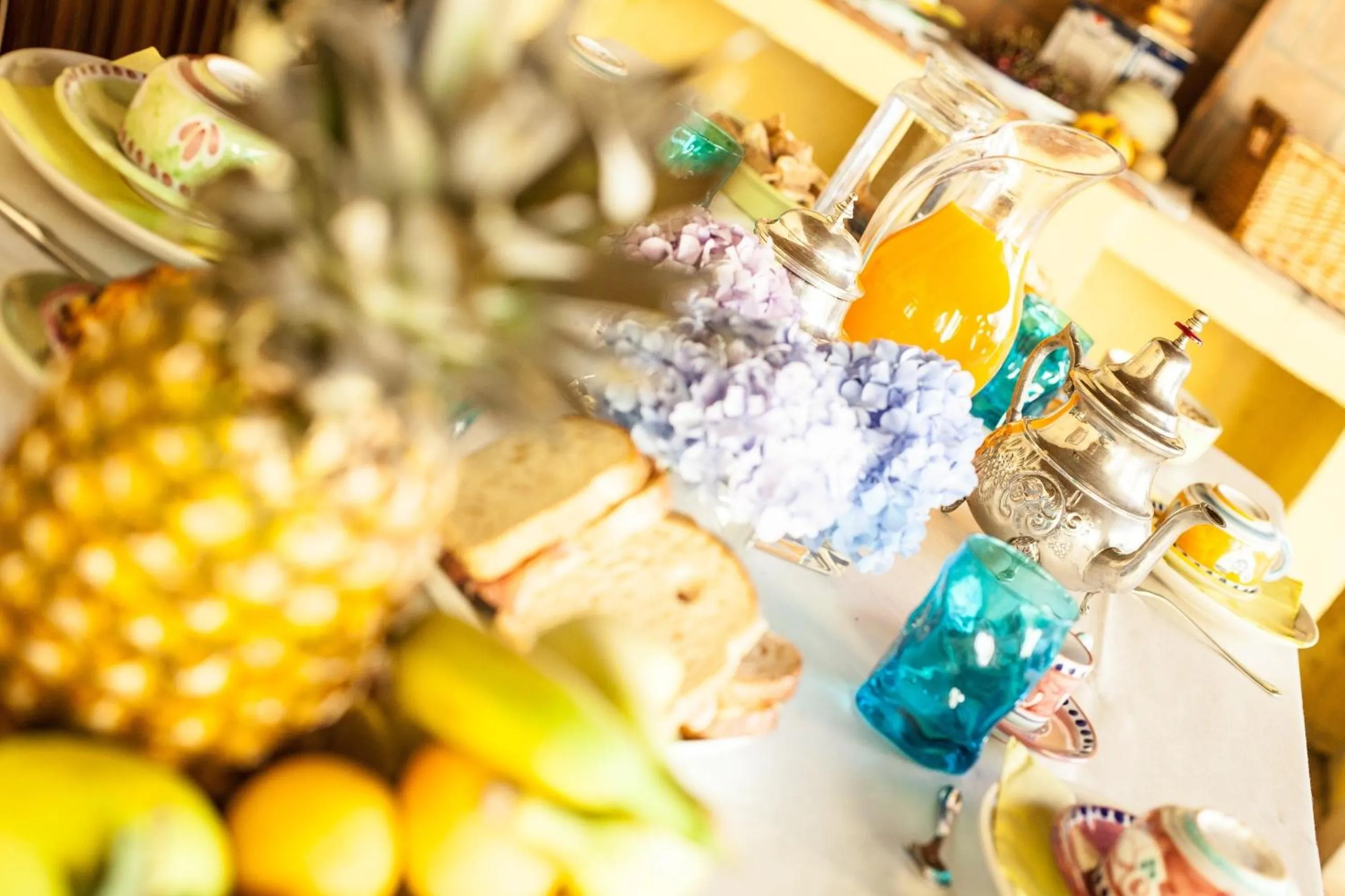 Patio in Villa Paganini B&B