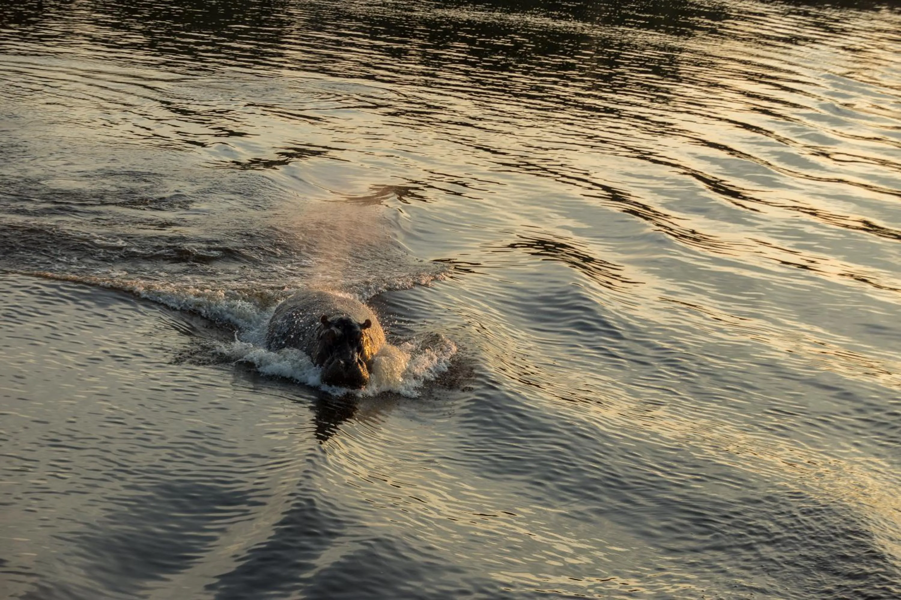Natural landscape in The Victoria Falls Waterfront