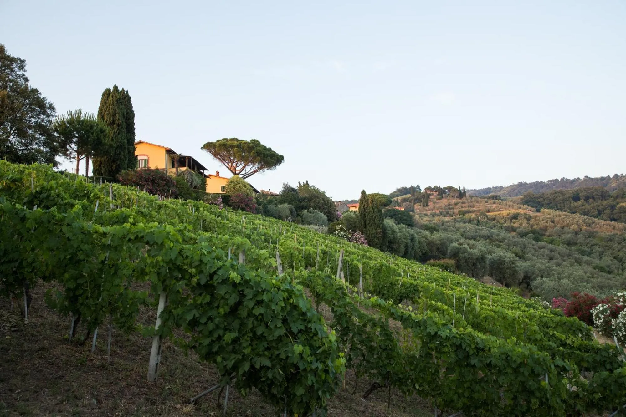Spring in Casa Vacanze Casa Italia