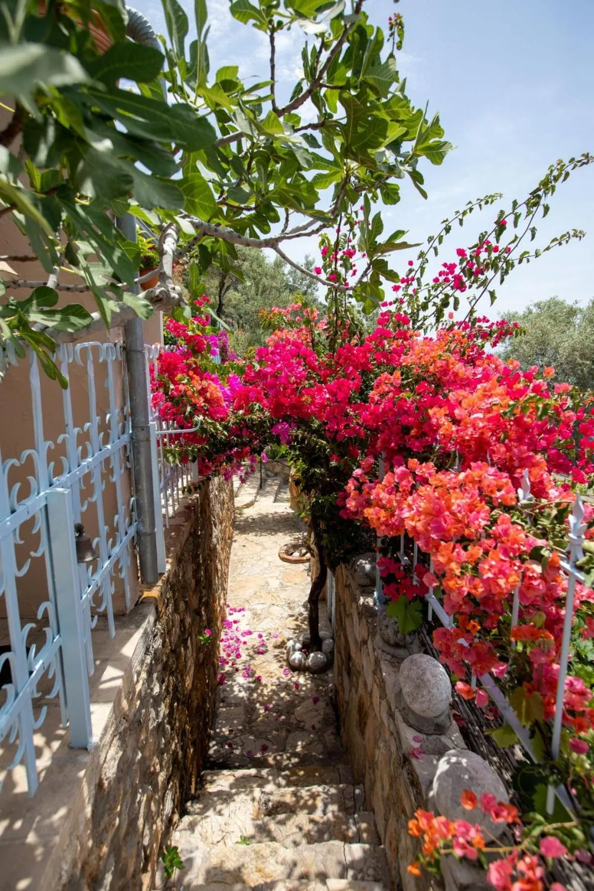 On site in Beyaz Yunus Hotel - Adult Only