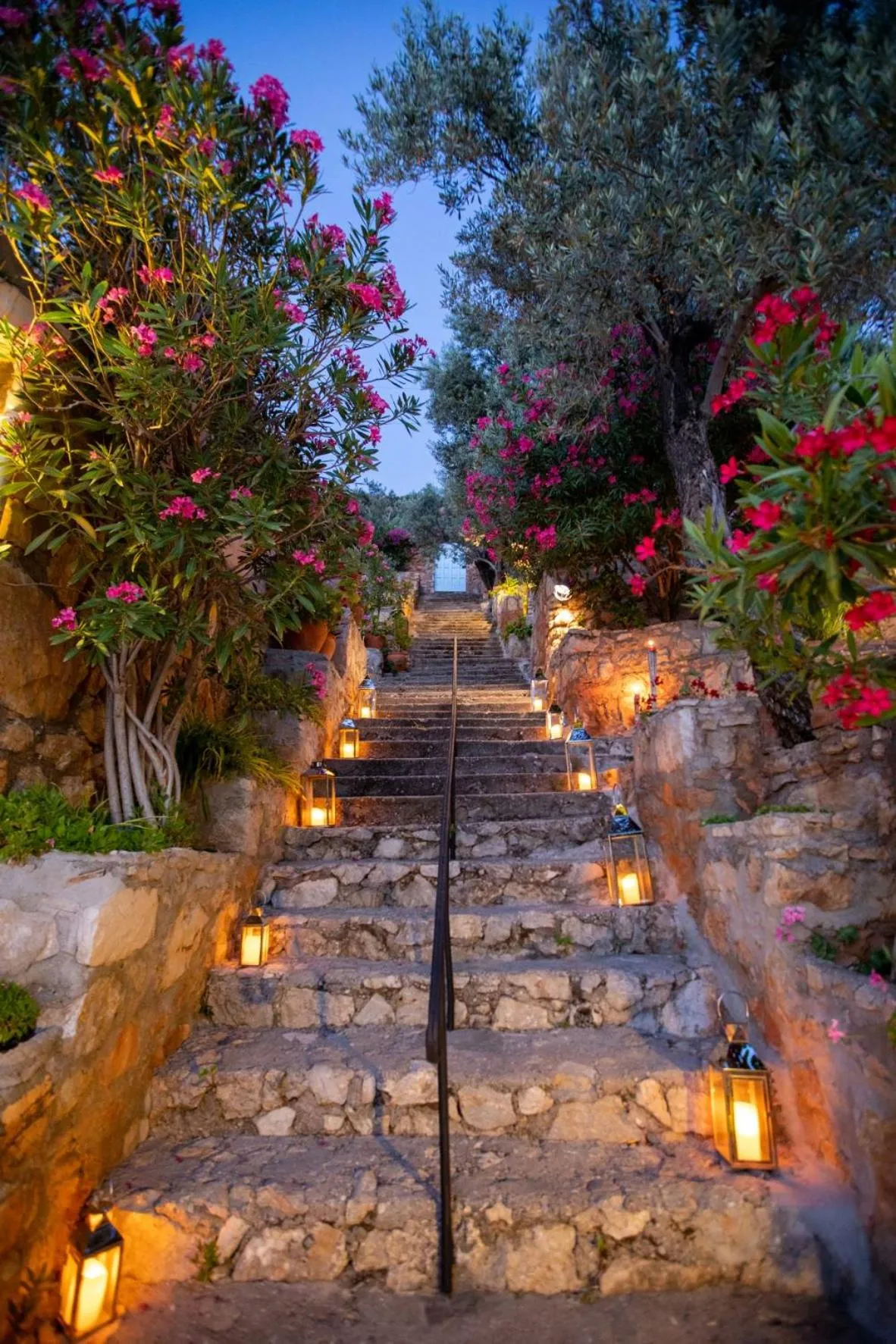 Garden in Beyaz Yunus Hotel - Adult Only