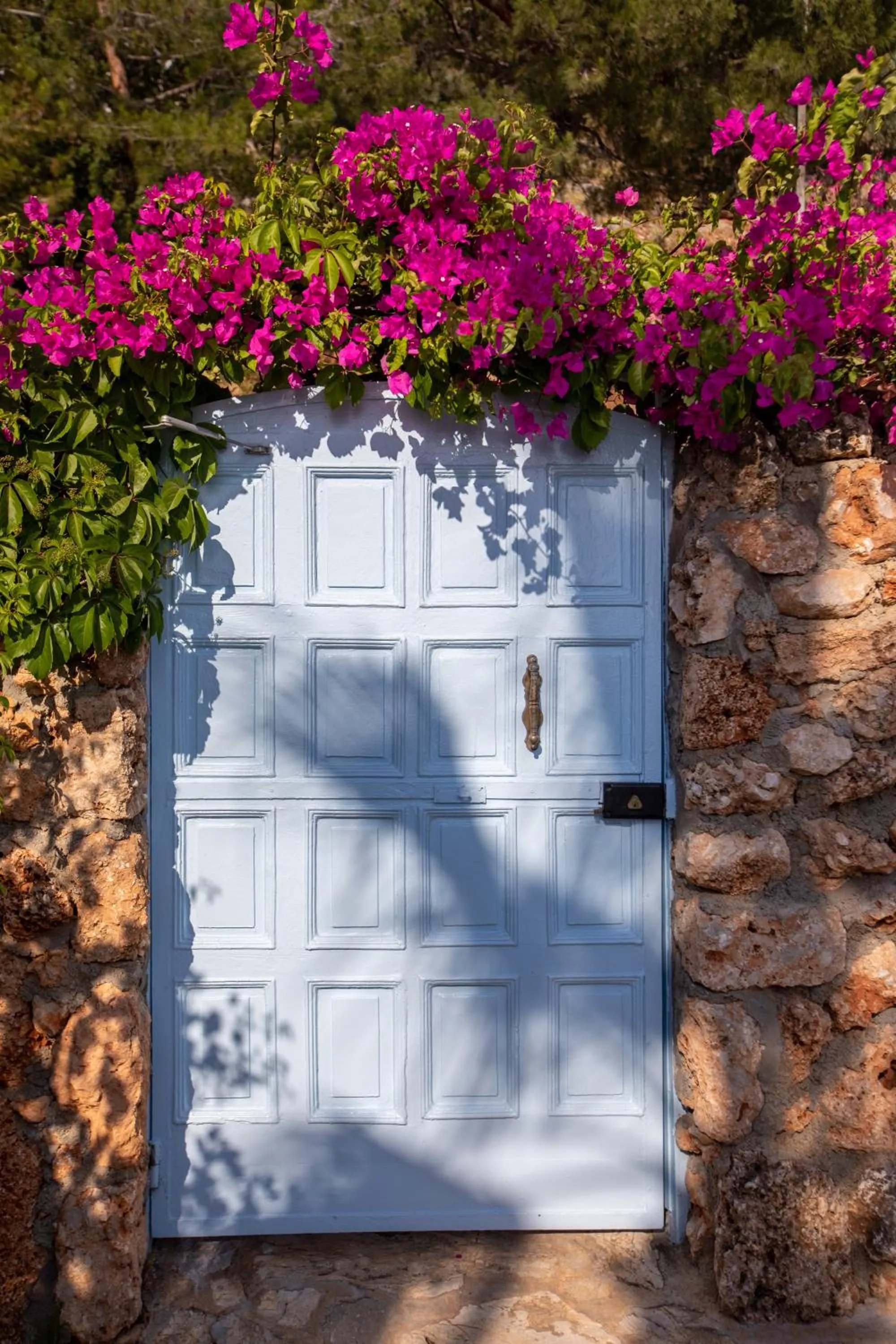 Garden view in Beyaz Yunus Hotel - Adult Only