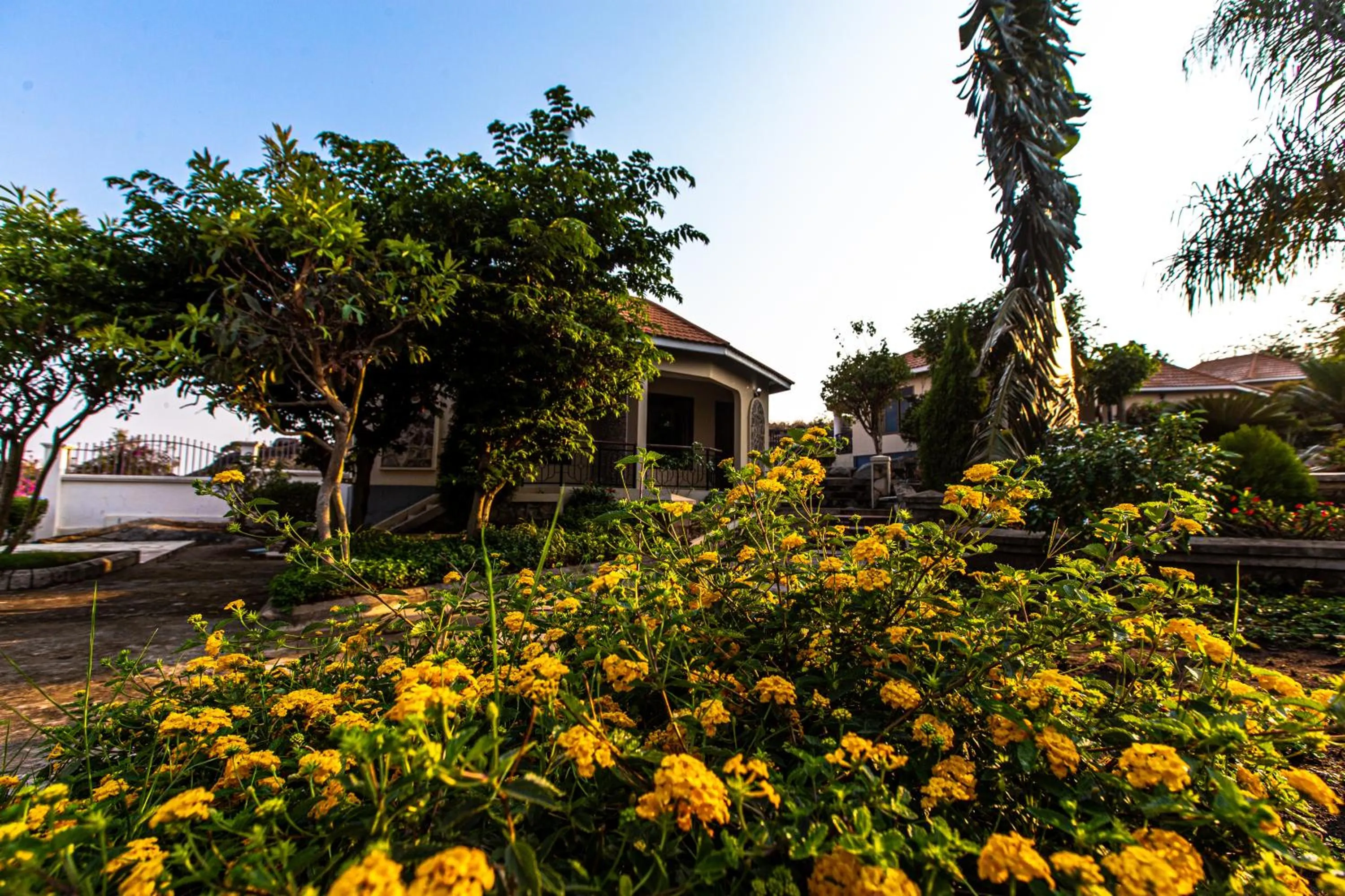 Garden in The Lahe Hotels