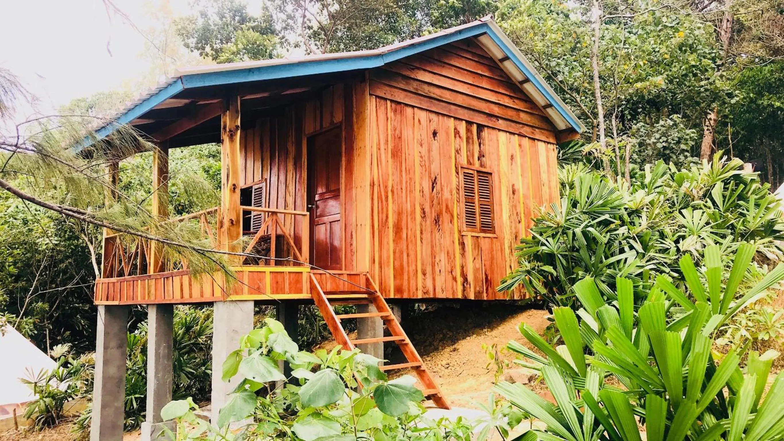 Property building in Robinson Bungalows