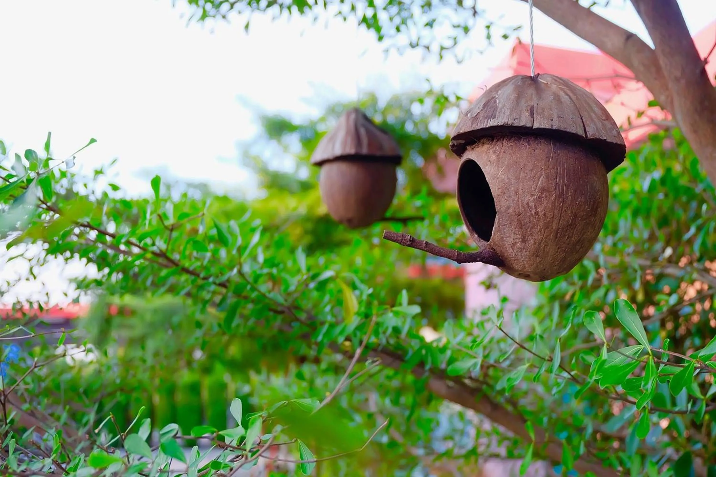 Property building in Ruai Thong Pong Pai Resort