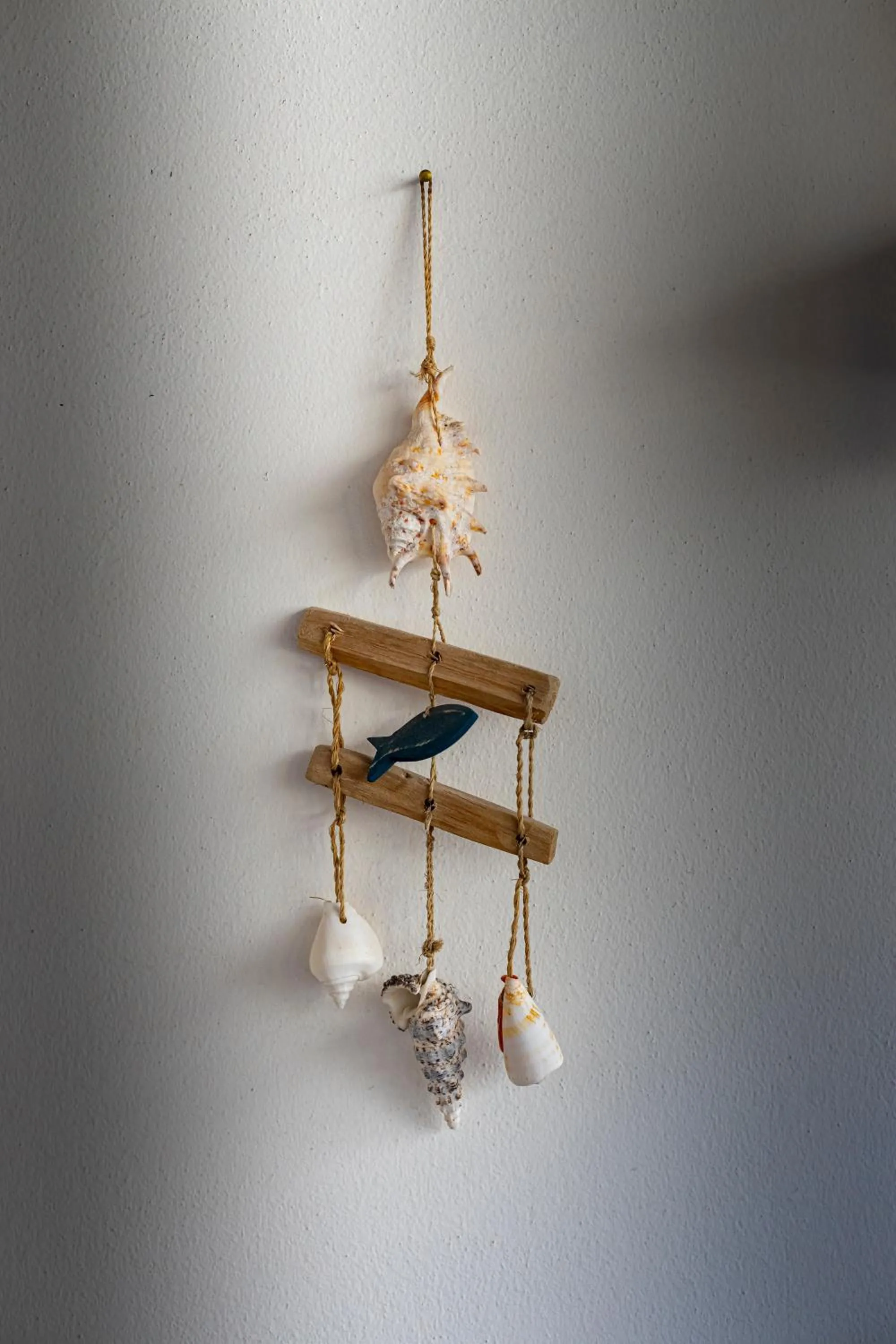 Balcony/Terrace in Trapani Home