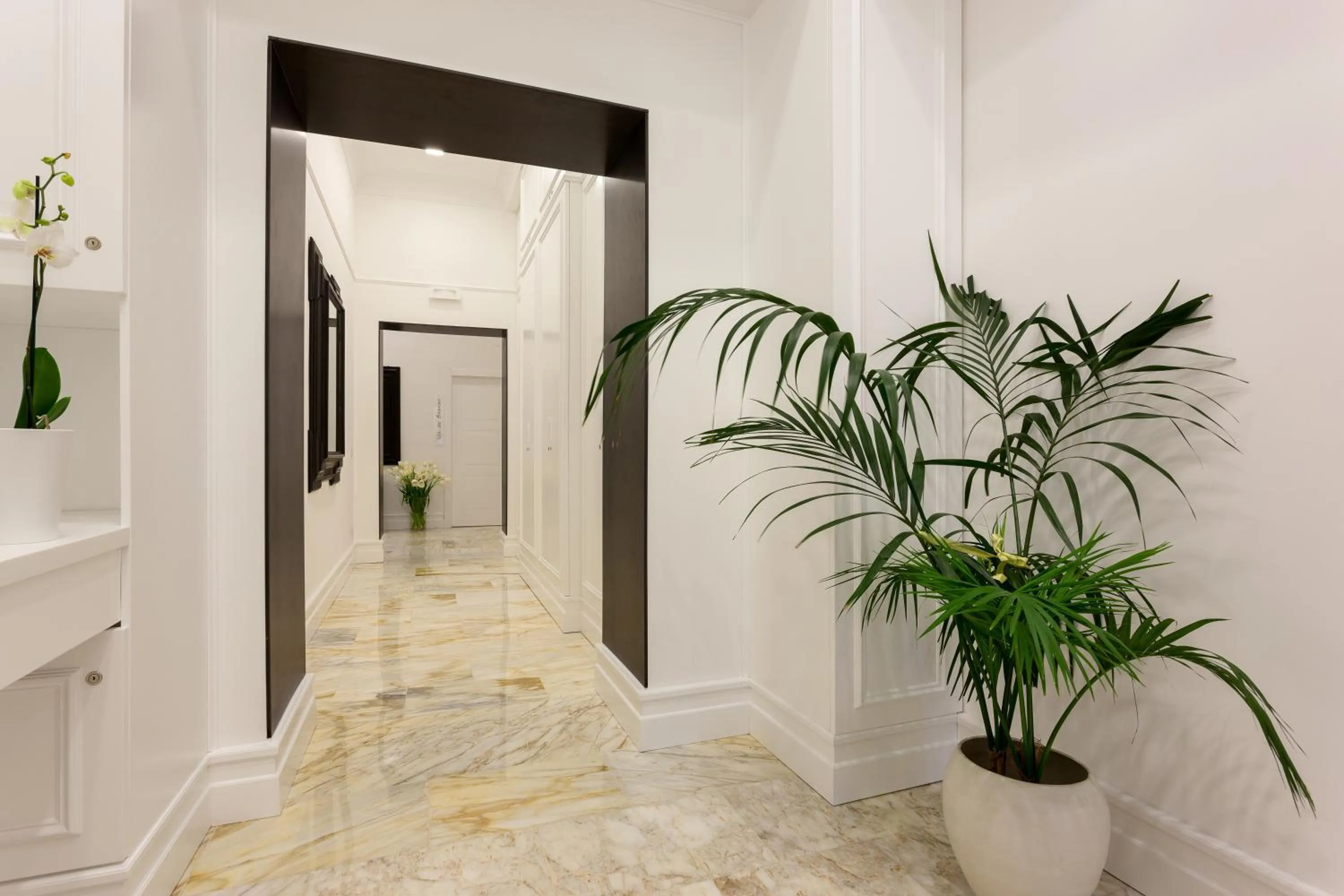 Area and facilities in 504 Corso Suites