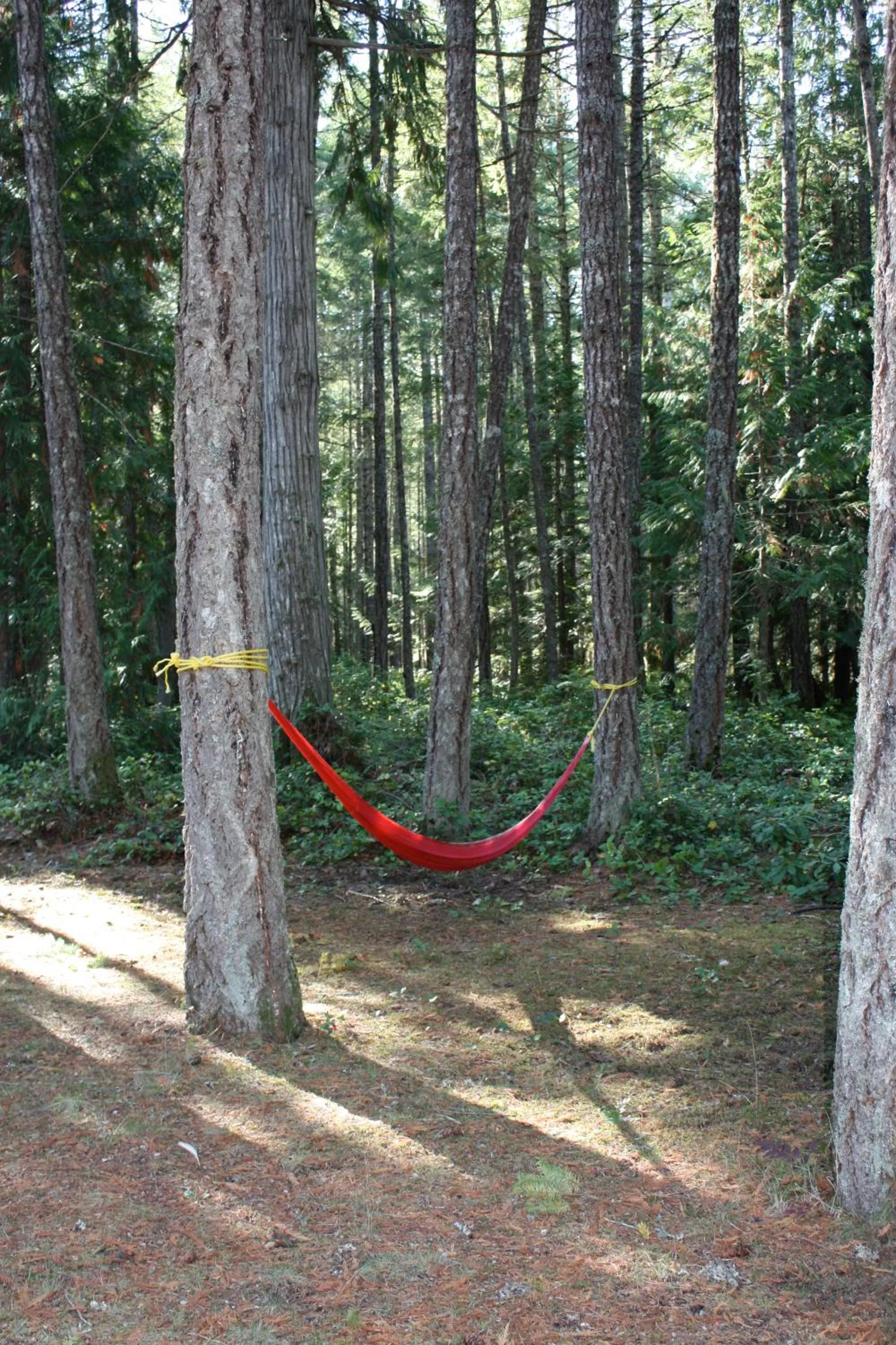 Other in Cedar Song B&B