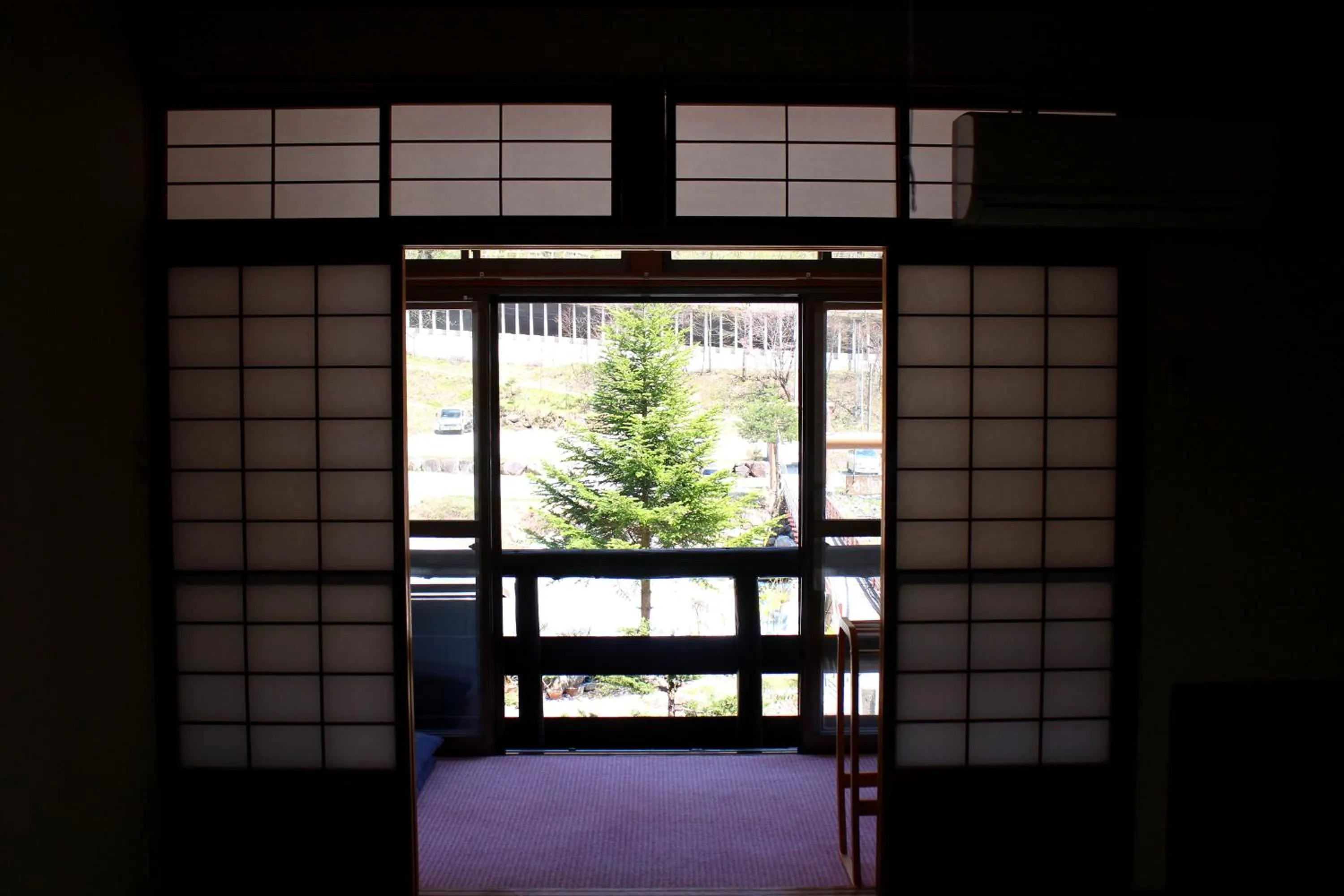 Photo of the whole room in Shinzanso