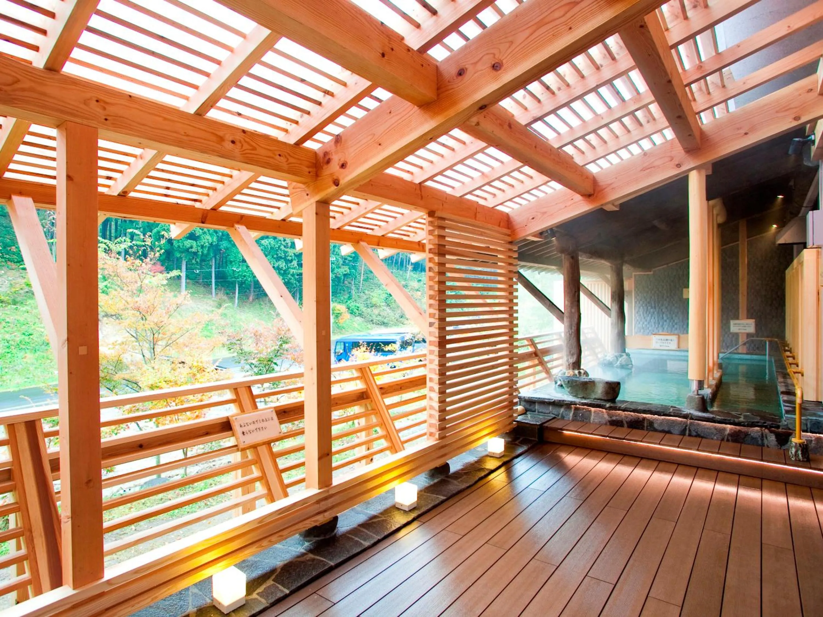 Hot Spring Bath in Seiryukaku