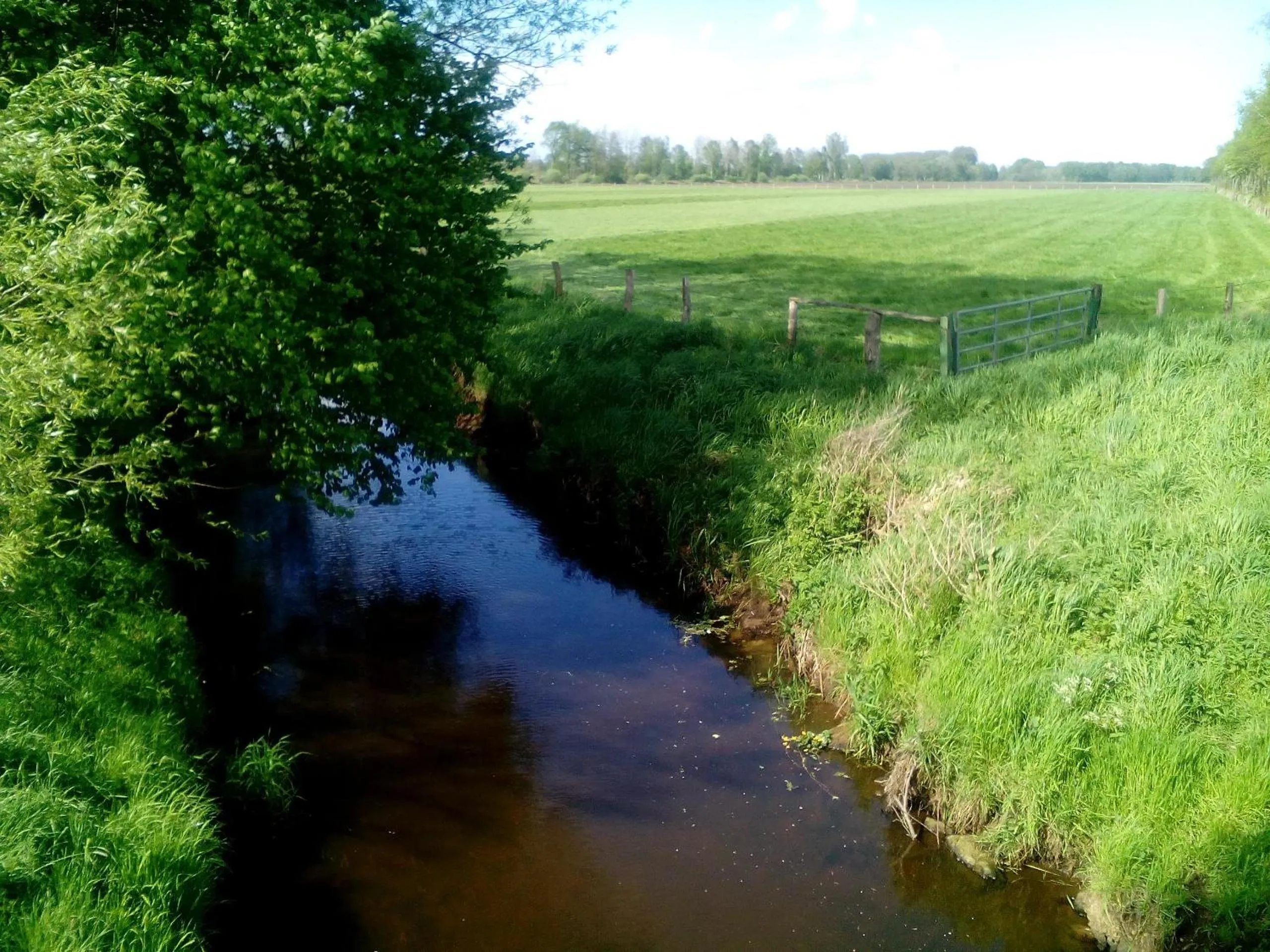 Natural landscape in Hotel Restaurant Lütkebohmert