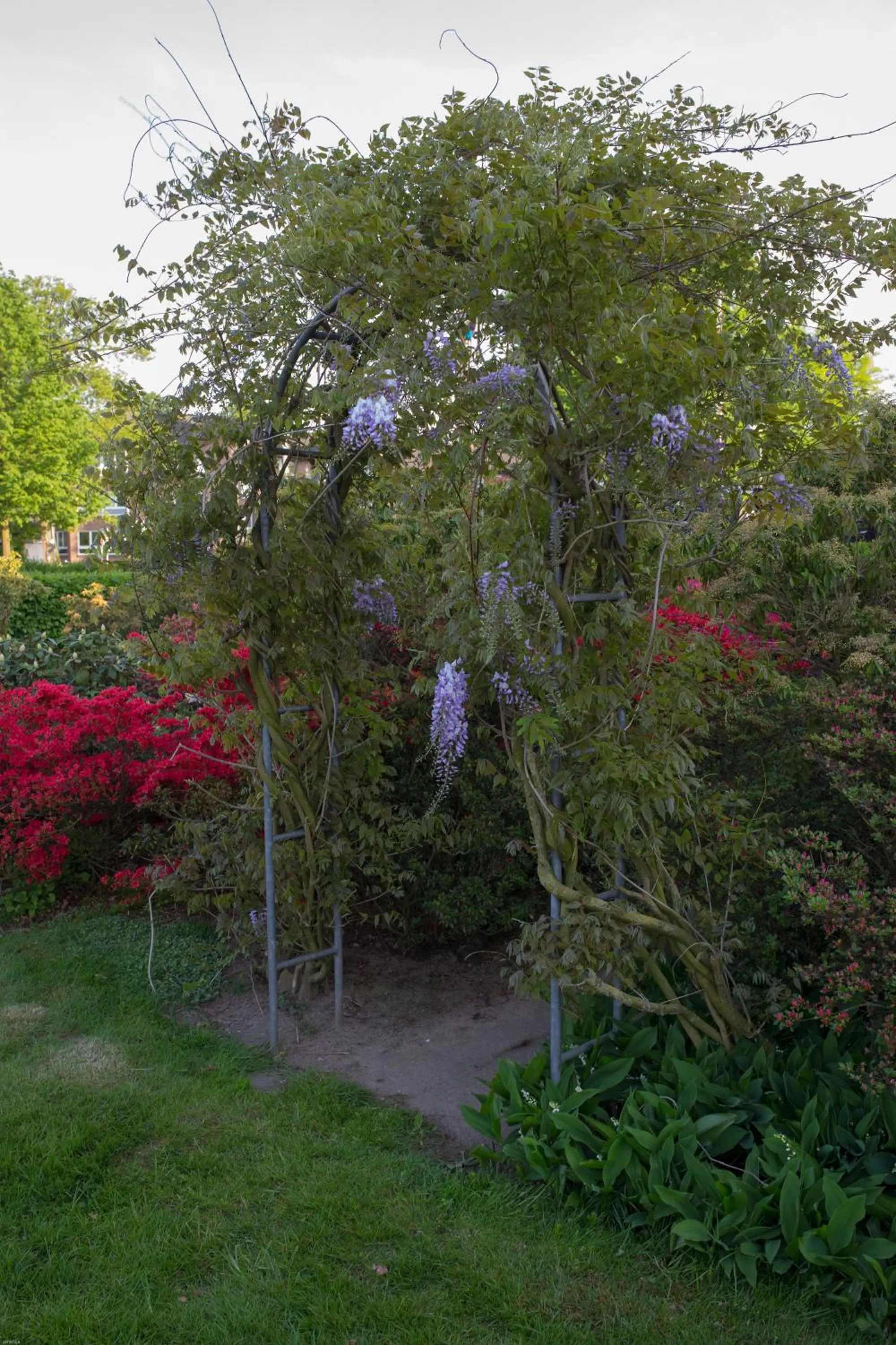 Garden in Hotel Restaurant Lütkebohmert