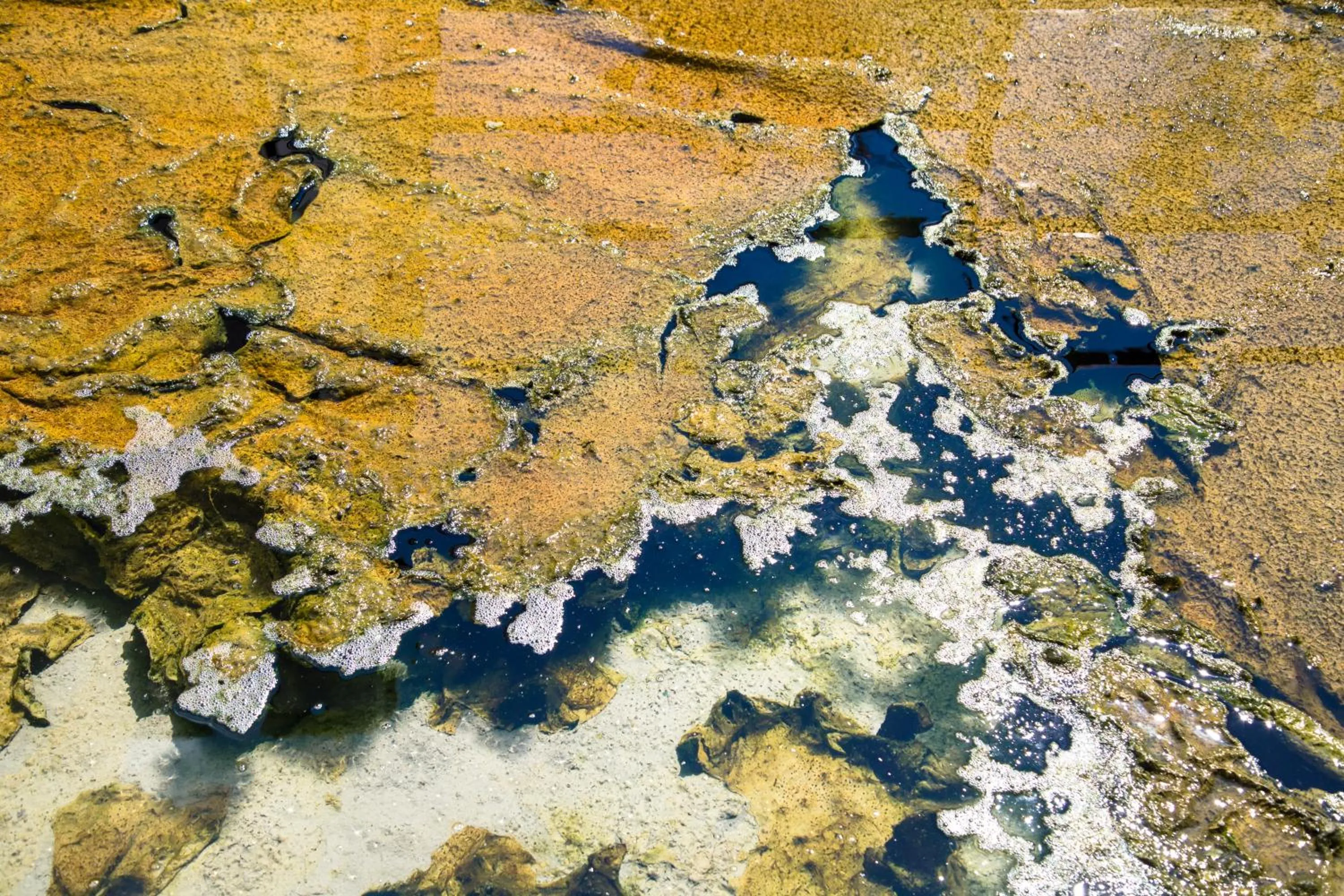Hot Spring Bath in Hotel Terme Principe